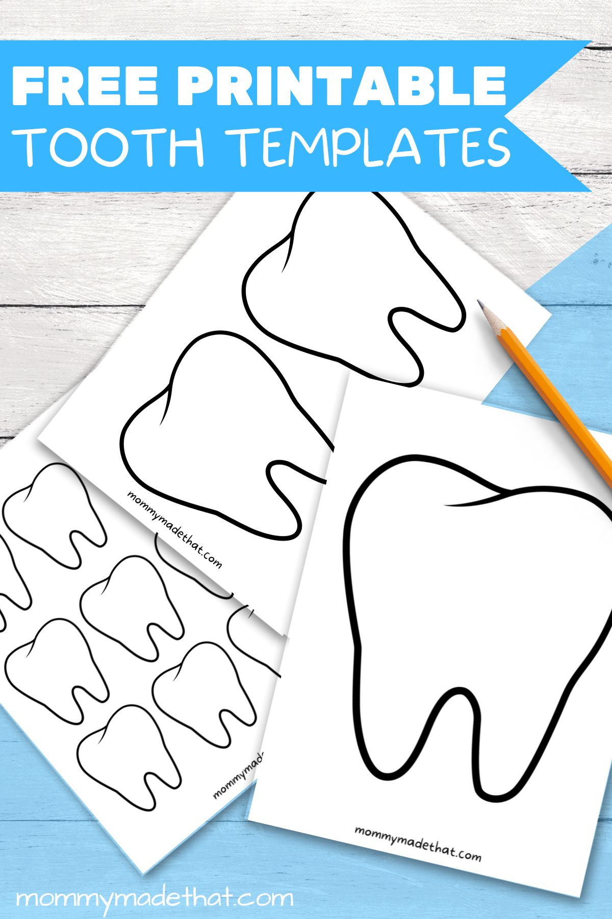 Tooth Templates (Free Printable Outlines!) intended for Free Printable Tooth Pattern