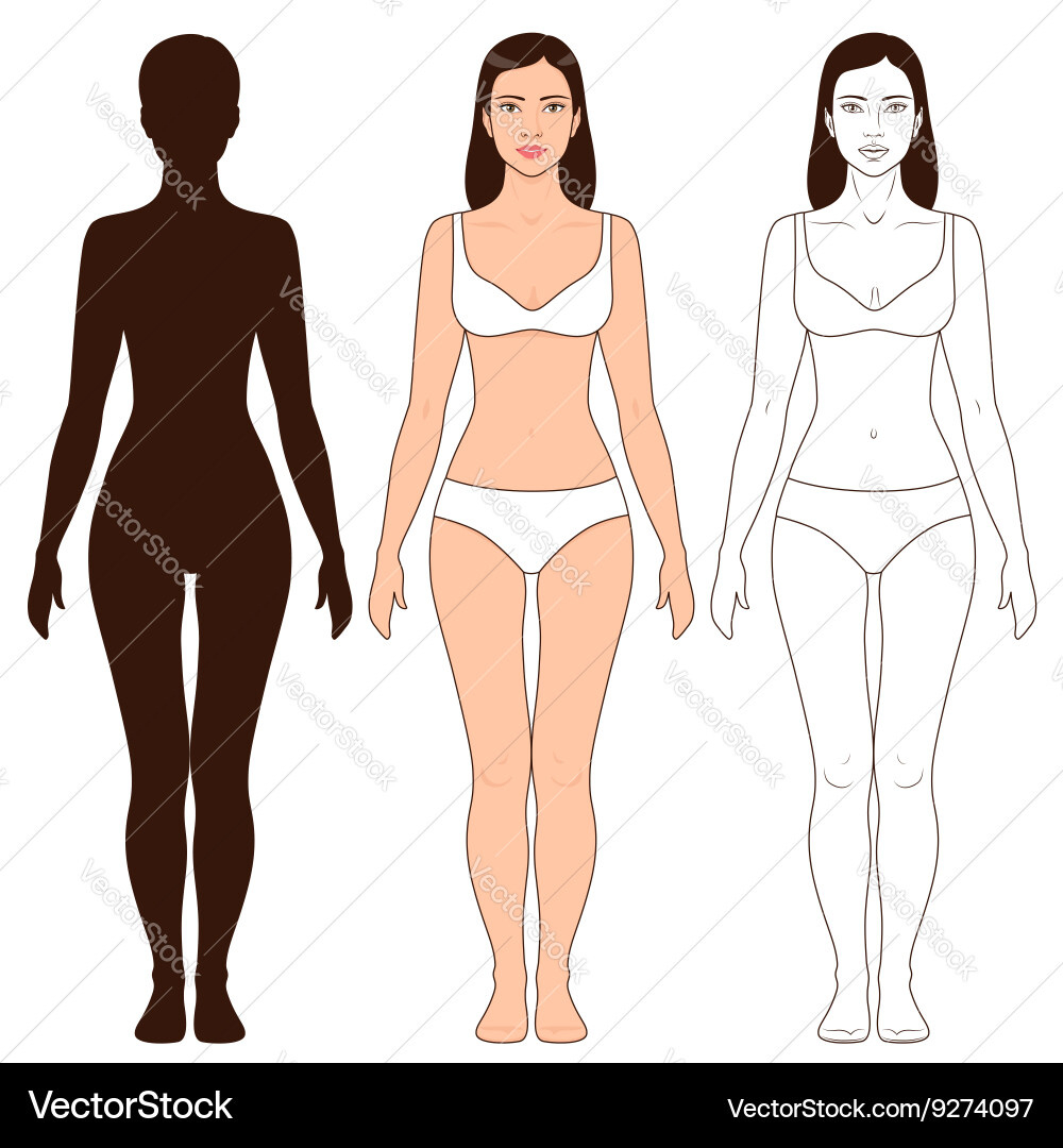 Woman Body Outline Template Royalty Free Vector Image with Free Printable Female Body Outline