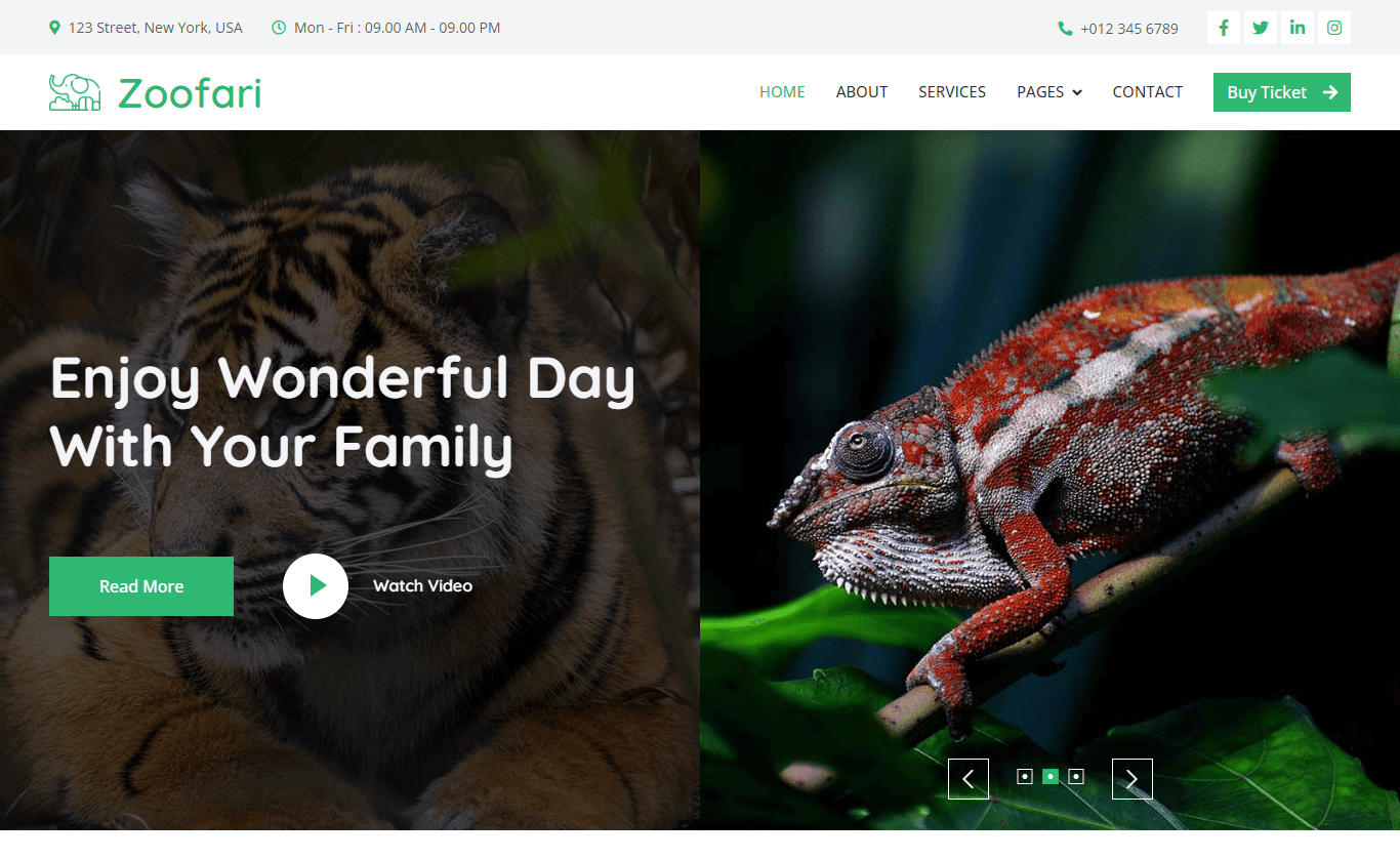 Zoofari - Free Responsive Bootstrap 5 Html5 Wildlife Website Template inside Free Safari Website Templates