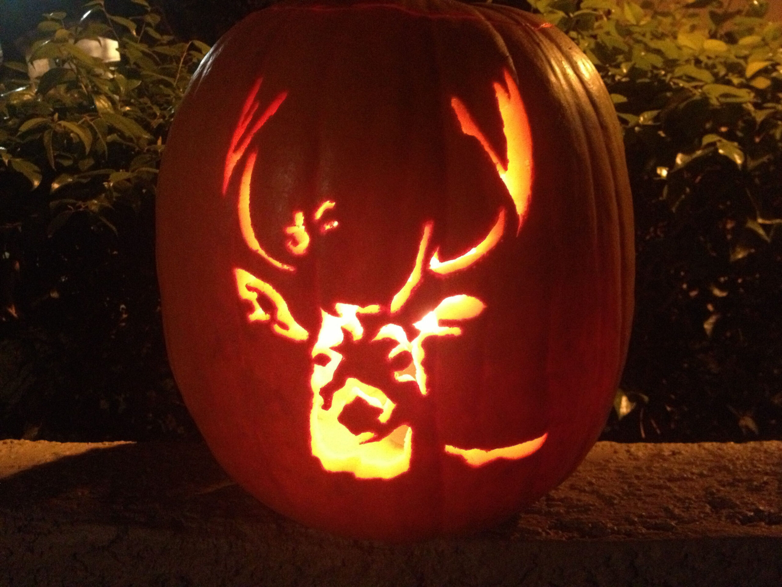11 Creative Pumpkins Carved To Look Like Wildlife - Cottage Life for Printable Deer Pumpkin Carving Stencils