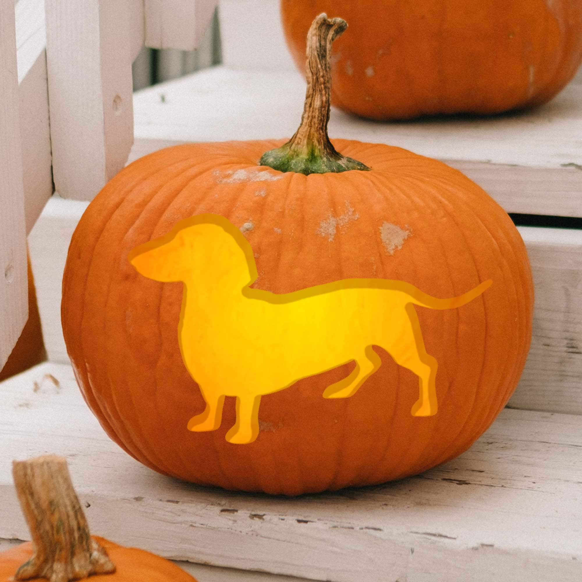 Dachshund / Silhouette Series Printable Pumpkin Carving Pattern with regard to Printable Dachshund Pumpkin Carving Pattern