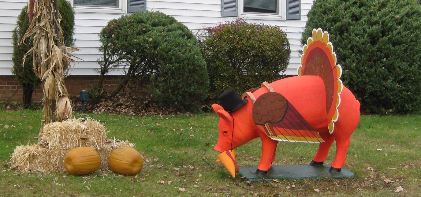 A Thanksgiving Pig (In Turkey'S Clothing) | Wildtrumpetvine for Turkey in Disguise Pig