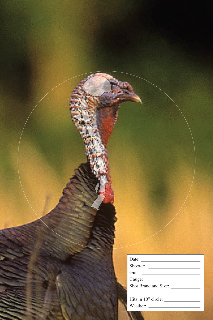 Free Printable Turkey Targets - Vanhelden Game Calls intended for Printable Turkey Targets