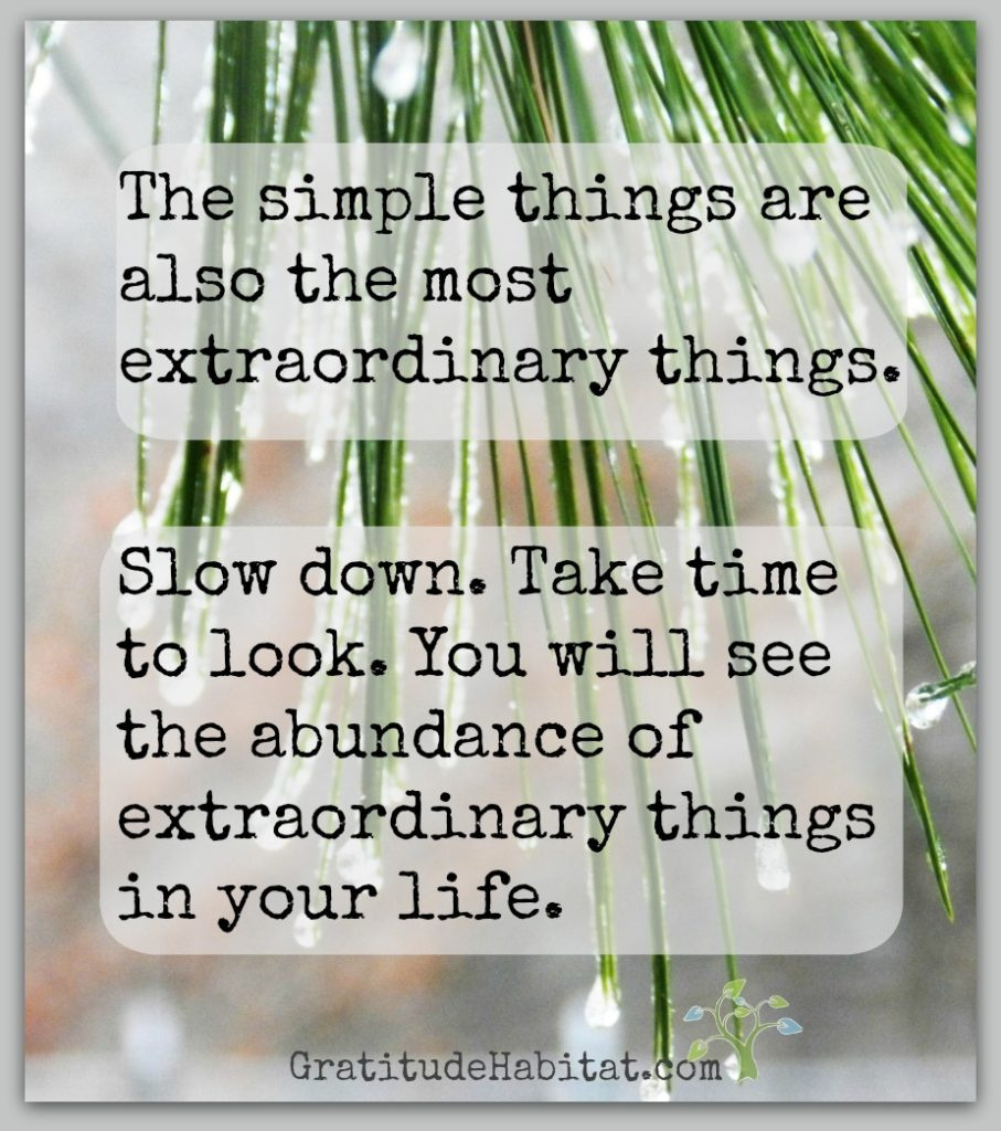 Living In Gratitude: Just For Now – Gratitude Habitat in Thanksgiving Yoga Poem