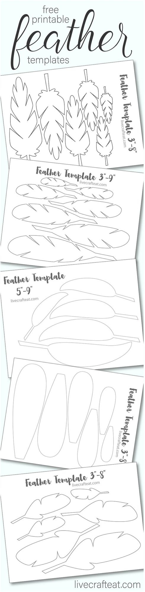 Printable Turkey Feather Patterns & Templates - Free | Live Craft Eat intended for Turkey Feather Template Pattern Printable