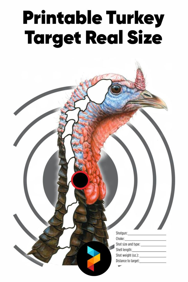 Turkey Target Real Size - 10 Free Pdf Printables | Printablee pertaining to Free Printable Turkey Head Targets