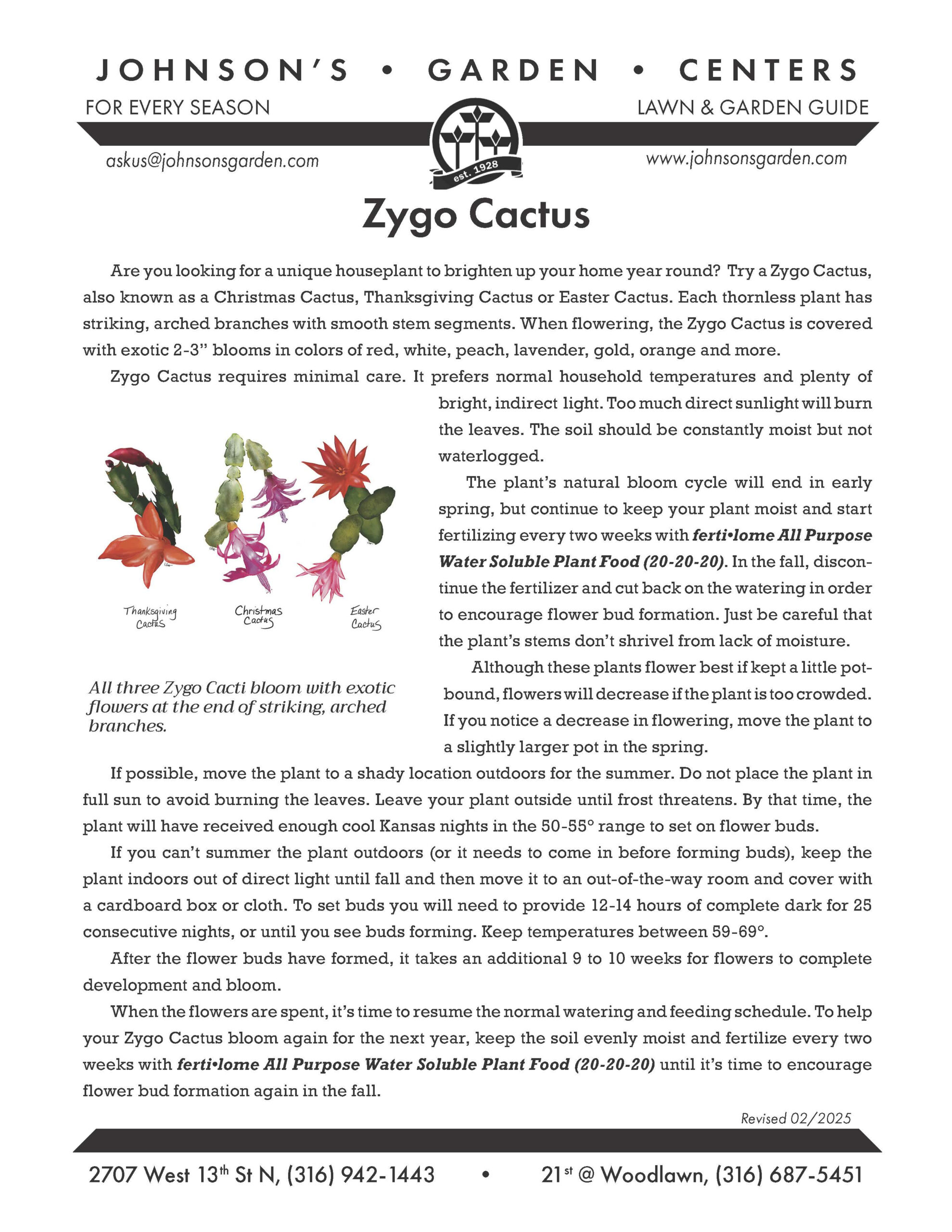 Christmas Cactus Care – Johnson&amp;#039;S Garden Centers for Printable Christmas Cactus Care