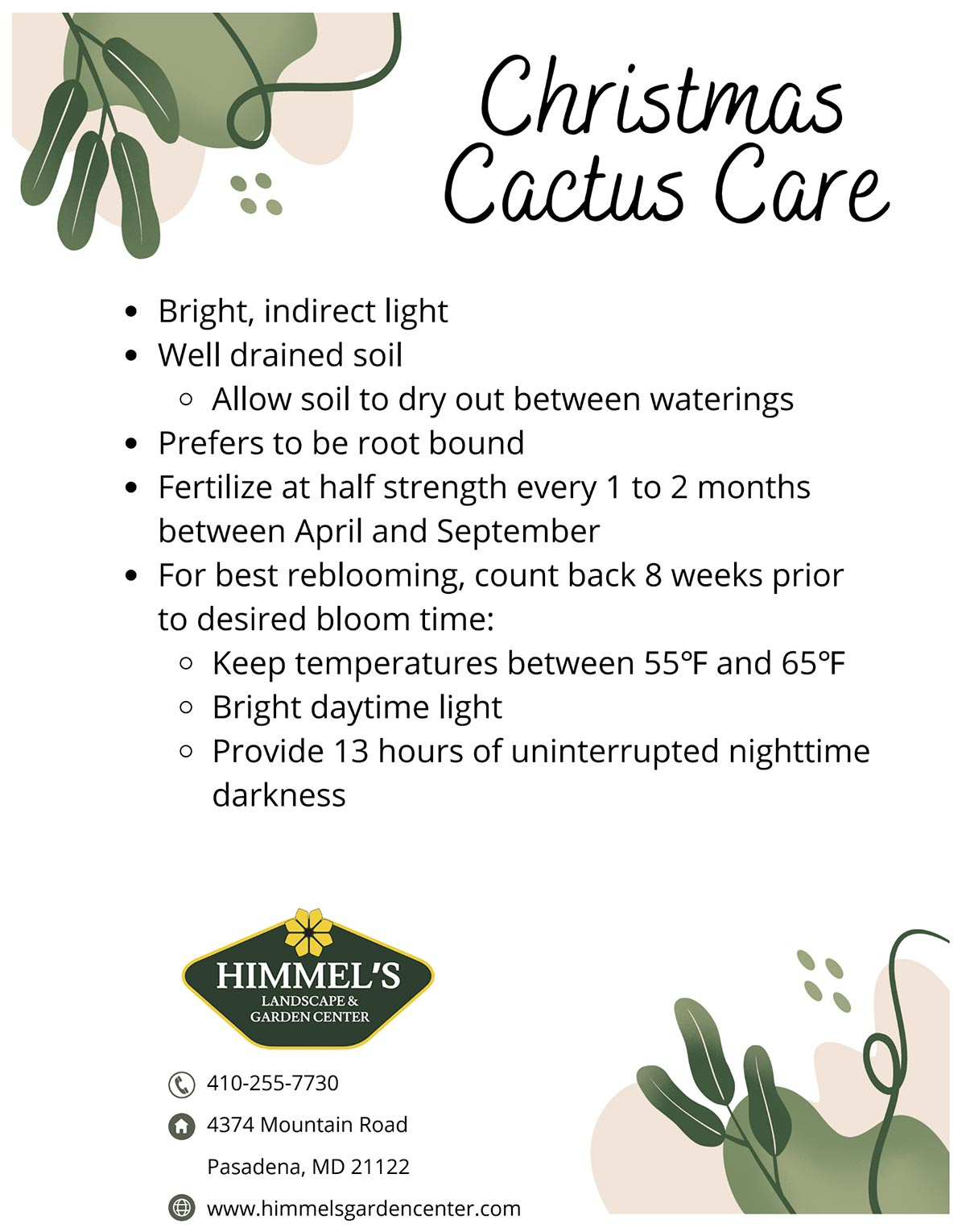 Plant Of The Week: Christmas Cactus Guide | Himmel&amp;#039;S Garden Tips with Printable Christmas Cactus Care