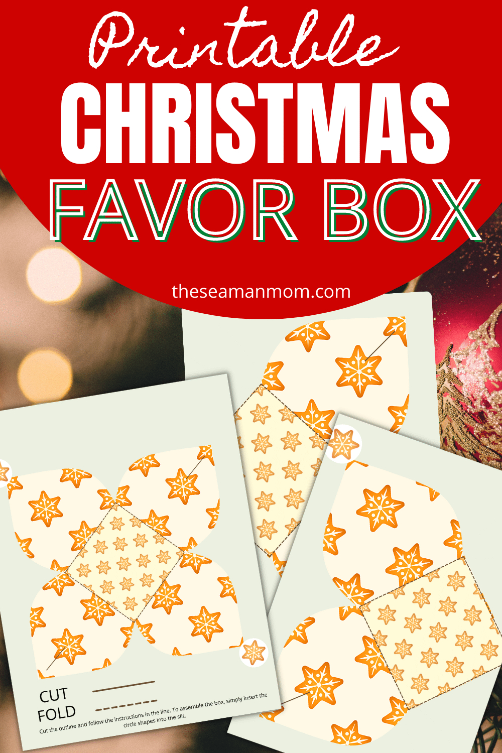 Printable Box Template For Christmas - Easy Peasy Creative Ideas within Free Printable Christmas Gift Box Templates