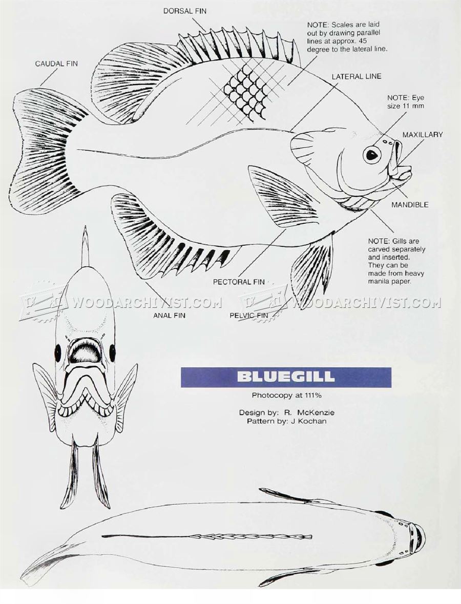 1390 Bluegill Carving Wood Carving Patterns