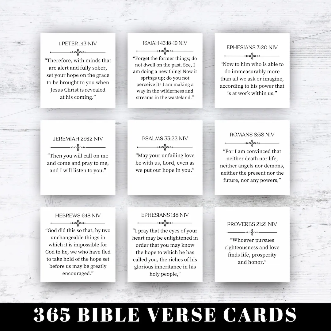 365 Bible Verses Niv Cards Daily