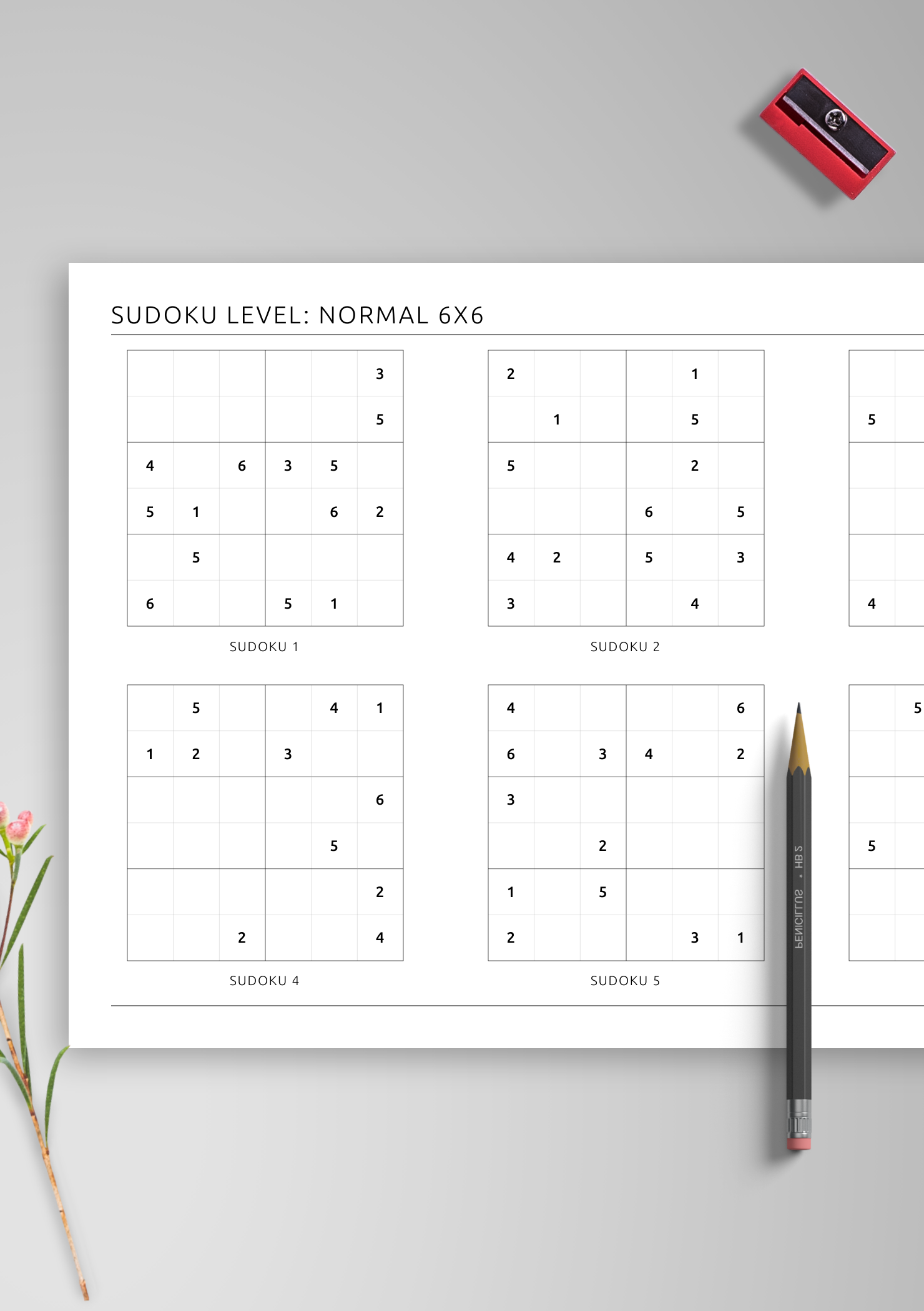 6 Page Medium Horizontal