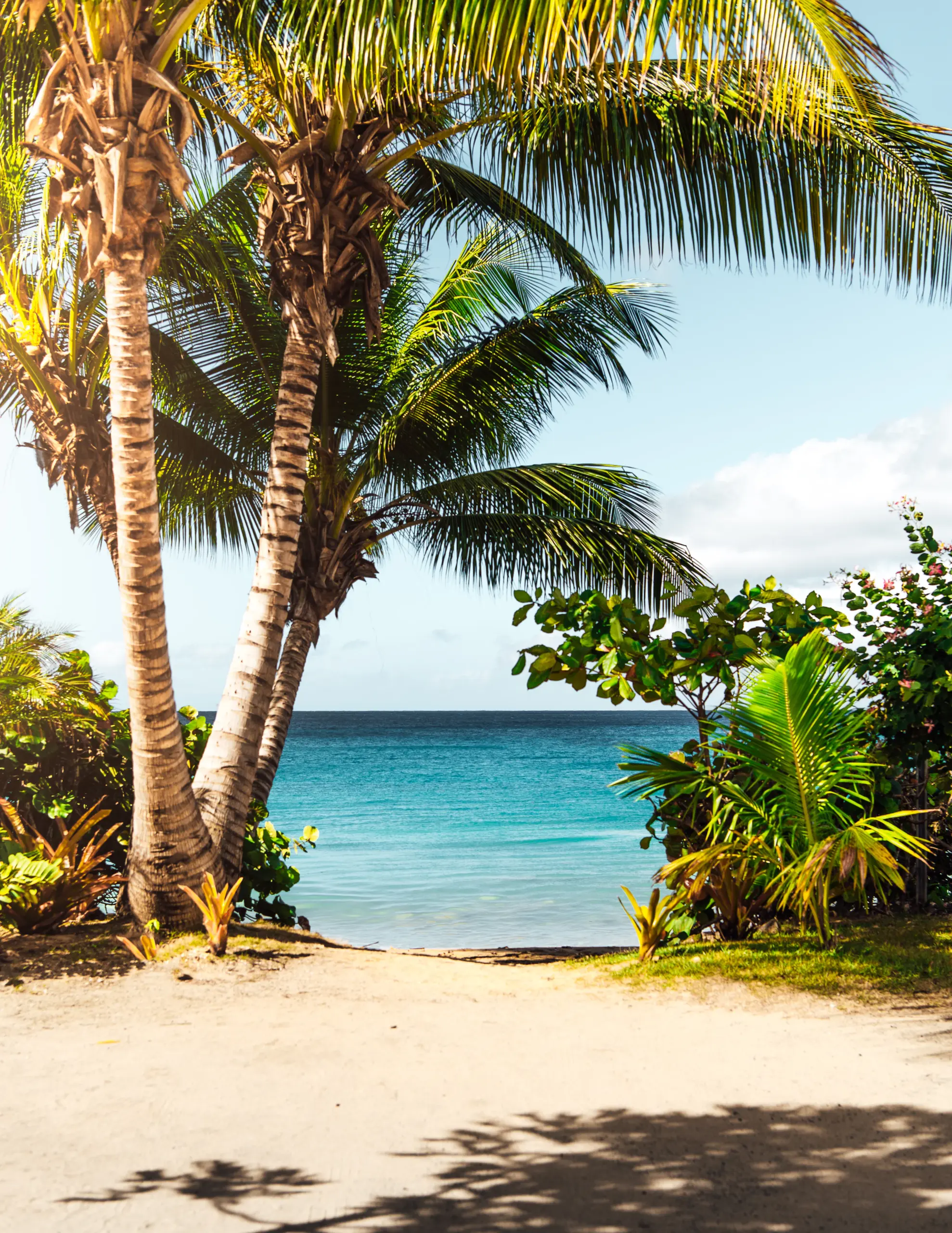 free printable beach scenes free printable beach scenes