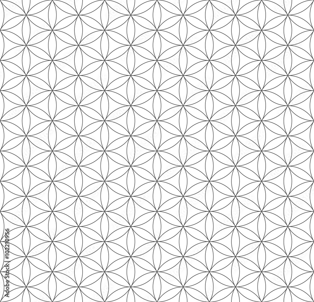Black Outline Flower Of Life Sacred Geometry Pattern F102210956