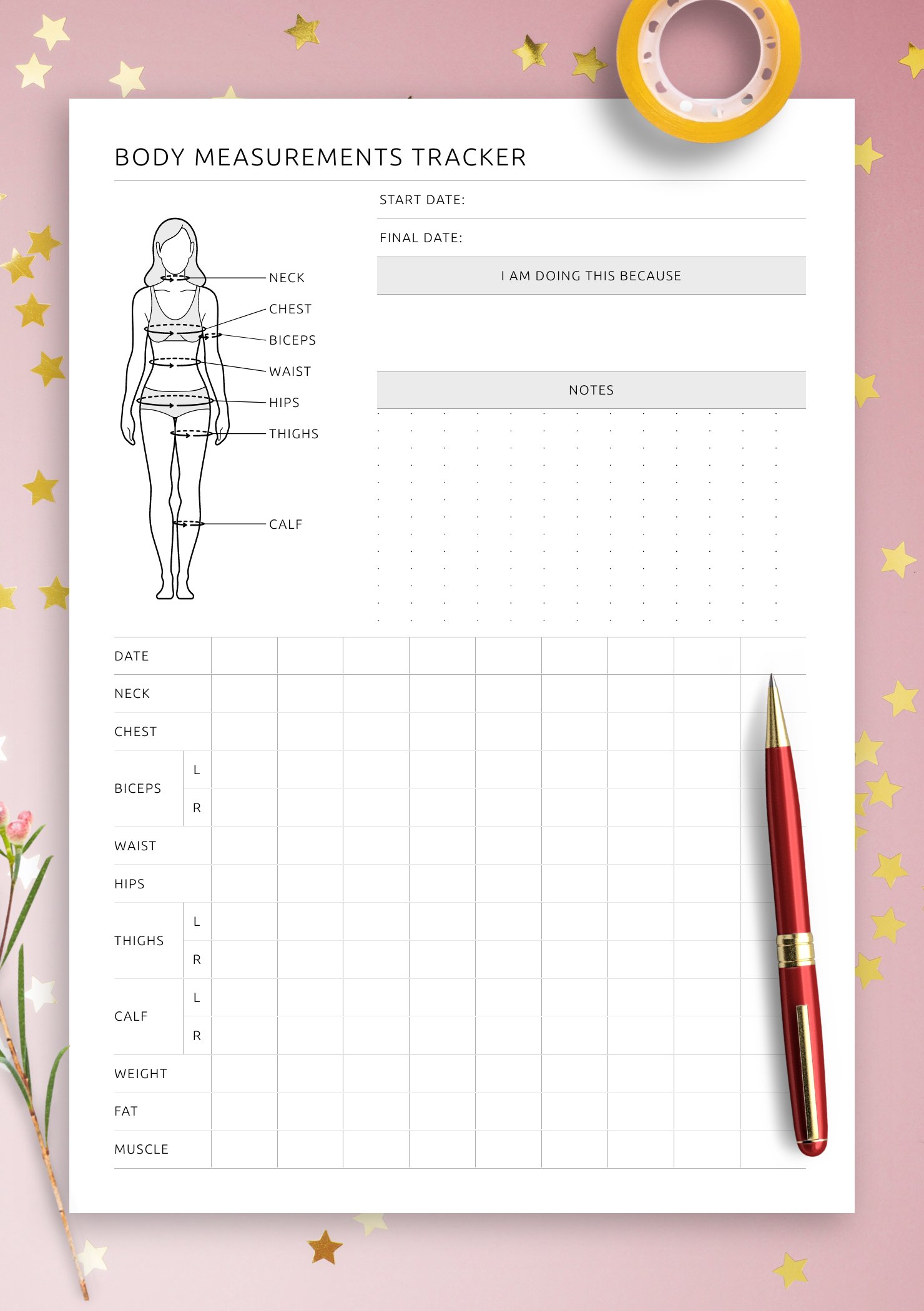 free printable female body outline