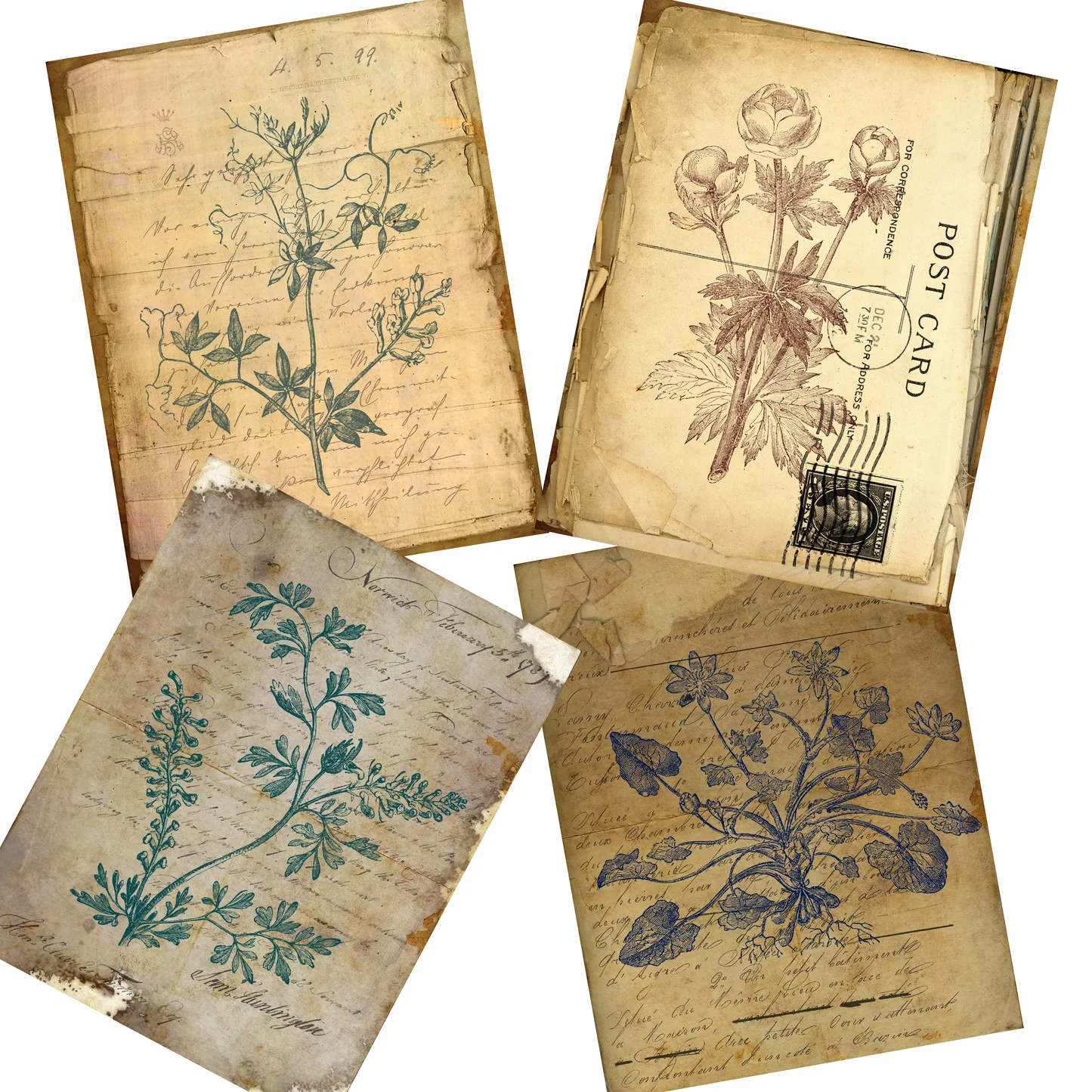Botanical Journal Paper Pack 7028