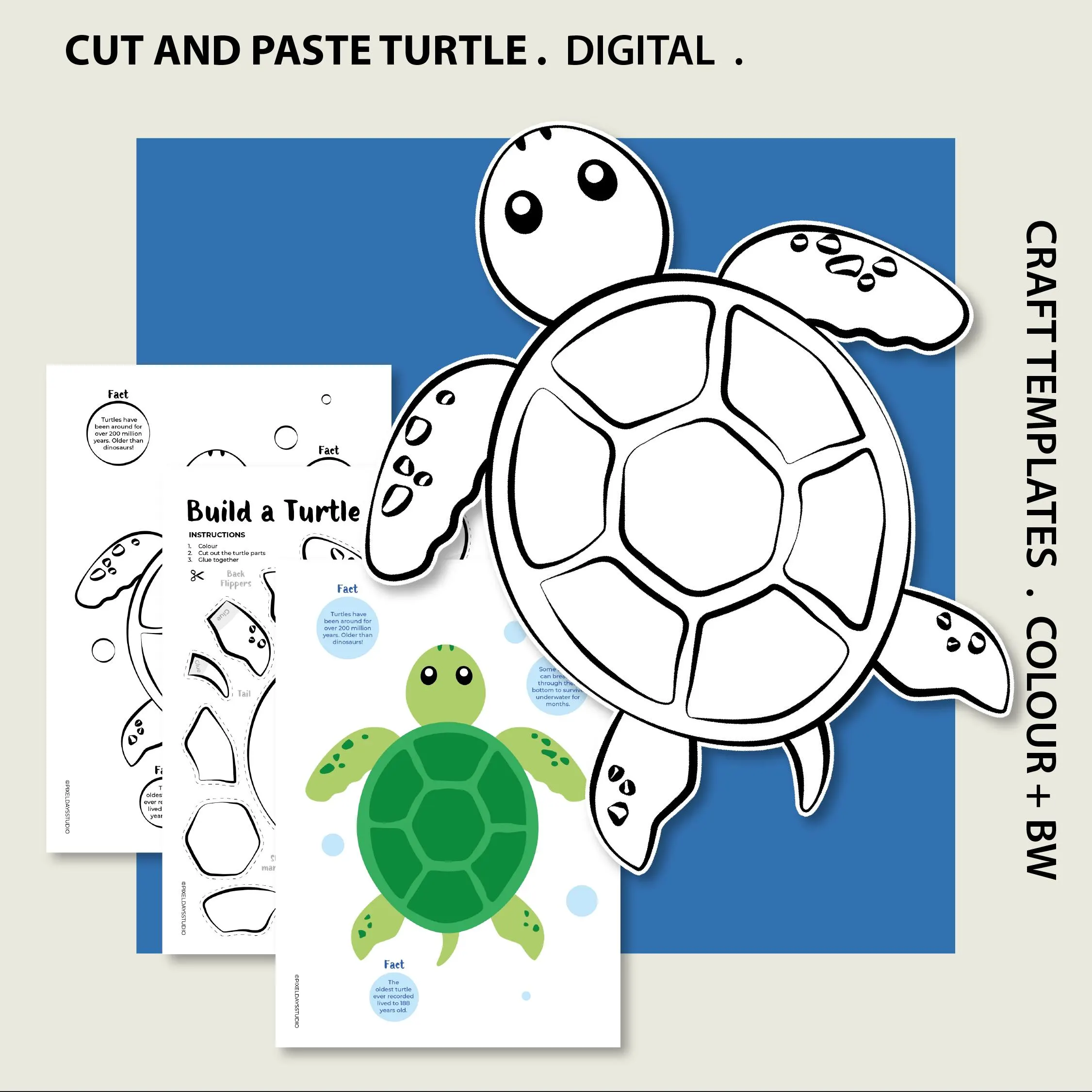 Build A Turtle Printable Cut And Paste