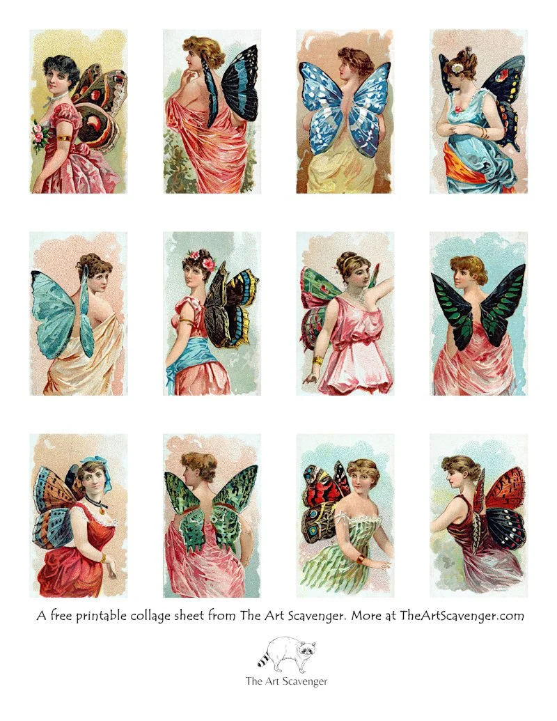 Butterfly Fairies