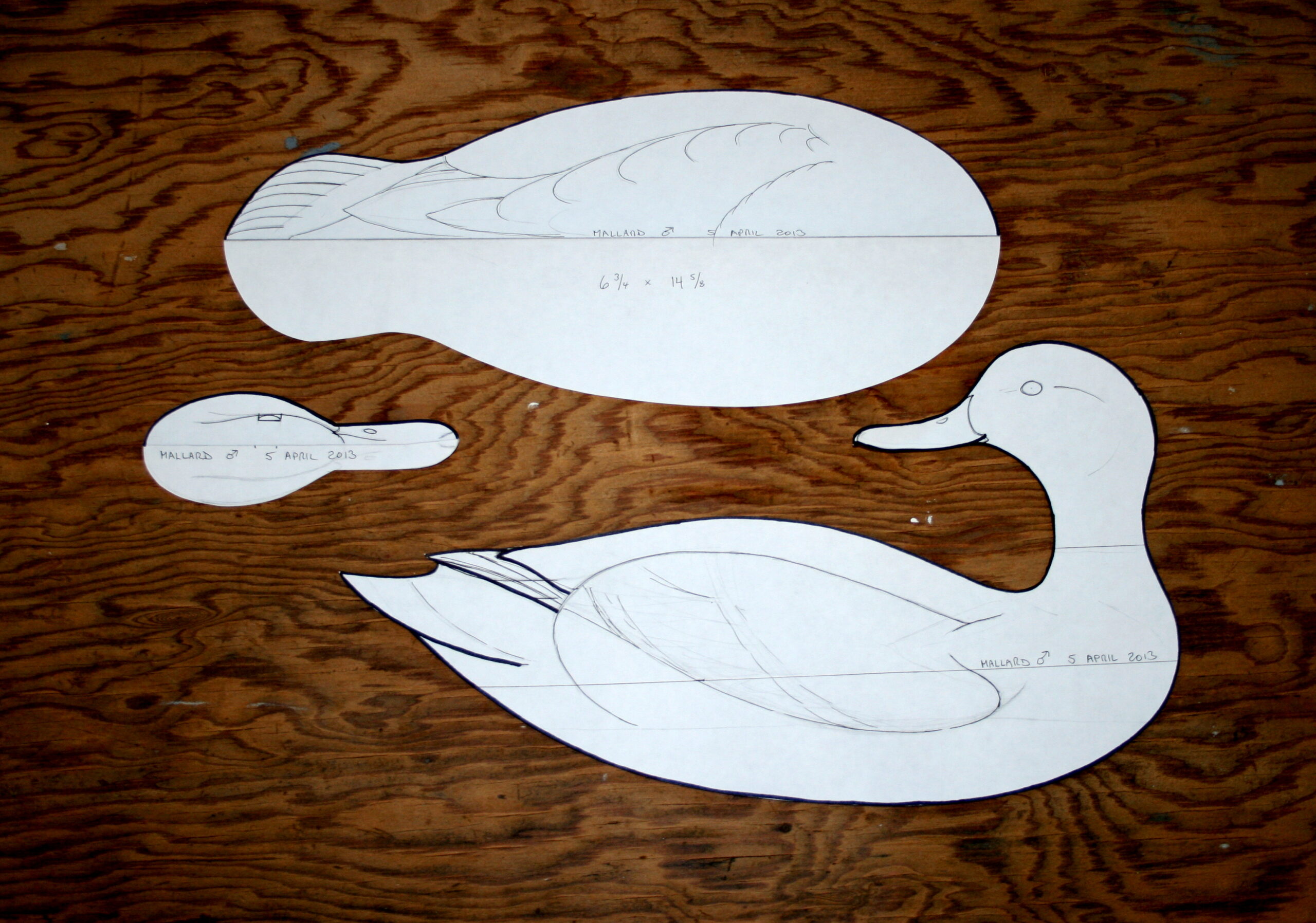Carving A Mallard Head Tutorial
