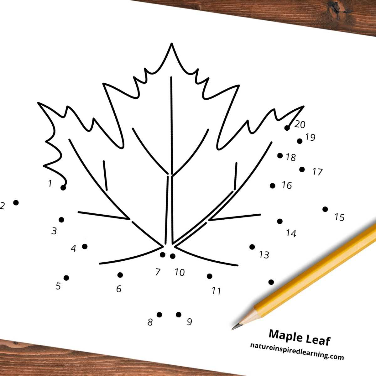 Connect The Dots Printables 1 20