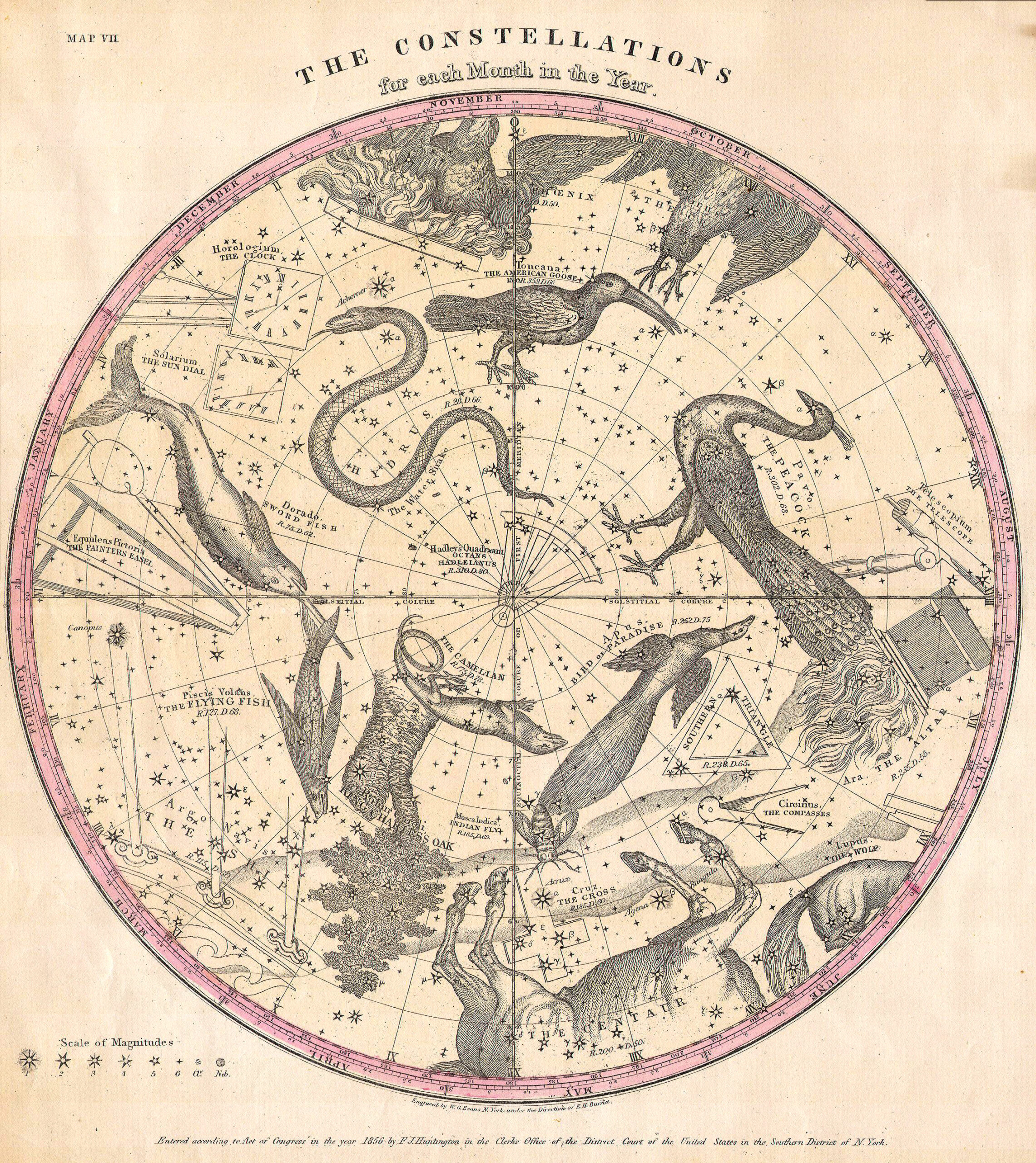 Constellation Map Posters