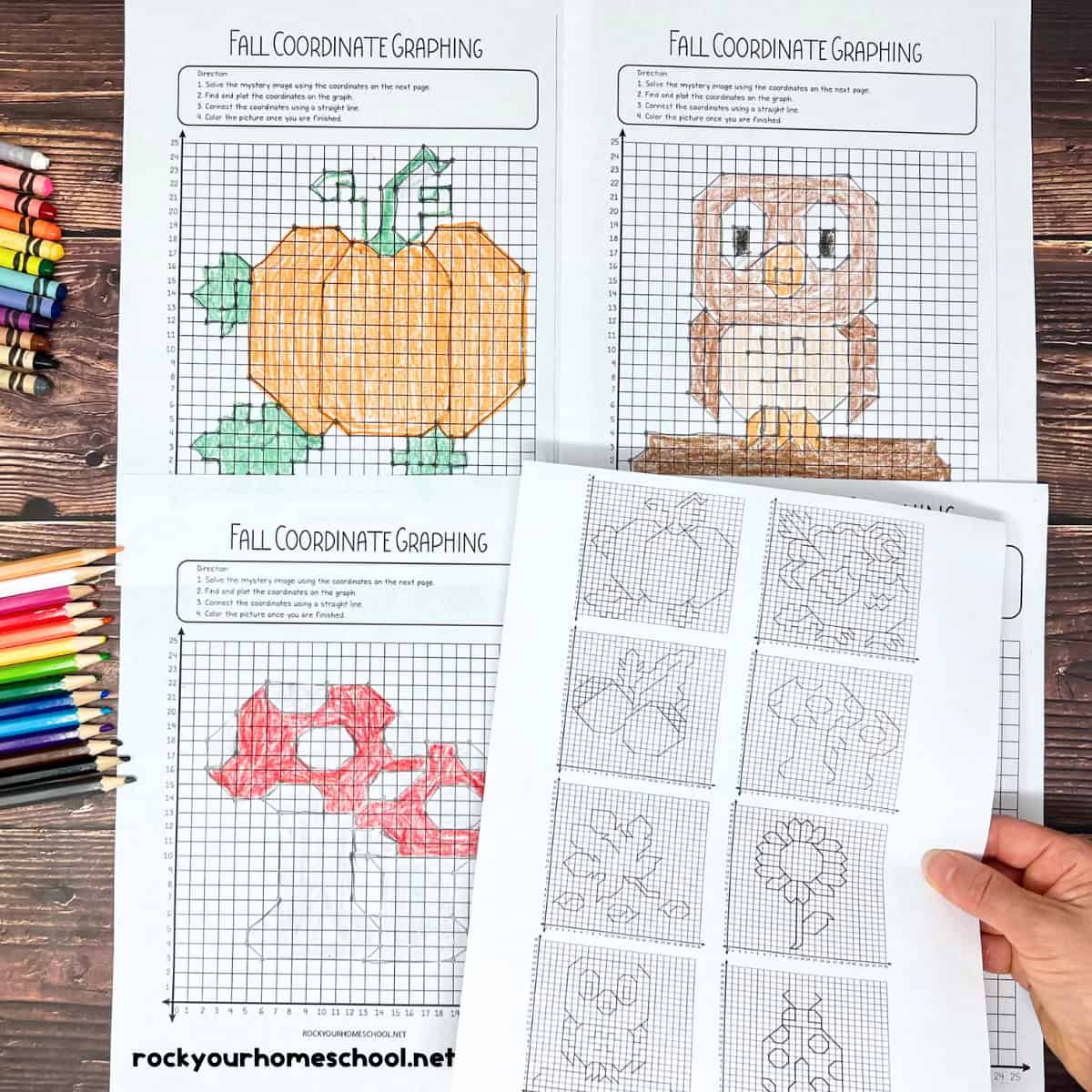 Coordinate Graphing Pictures