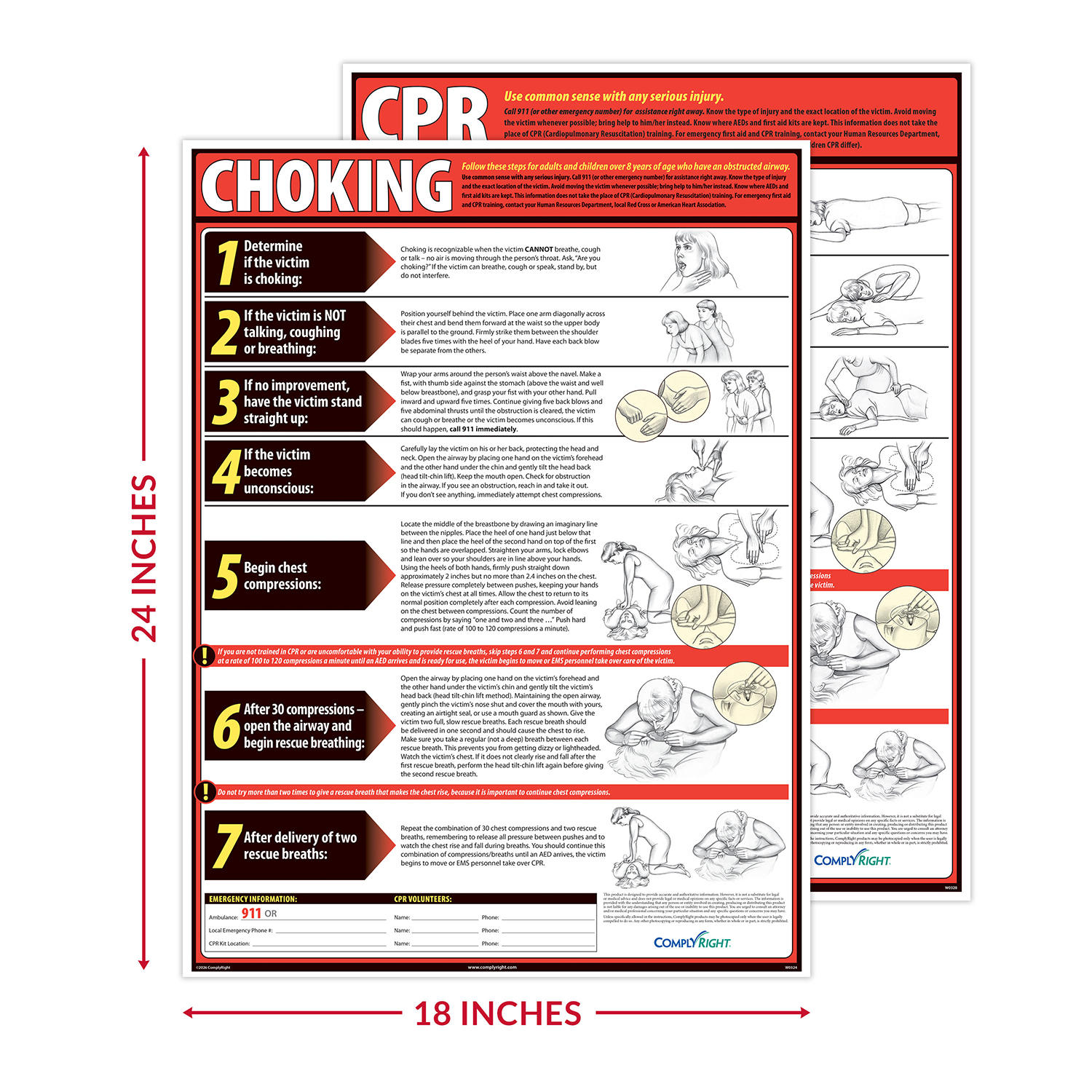 Cpr And Choking Poster Set