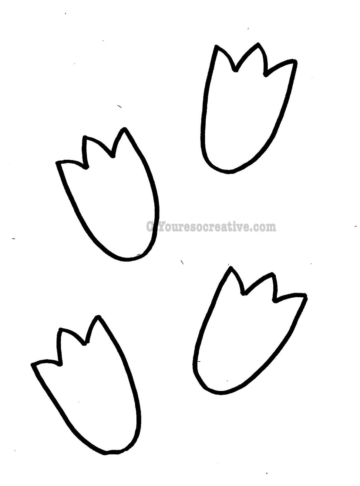 Dinosaur Footprints