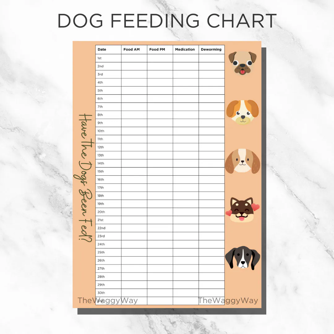 free printable dog feeding chart