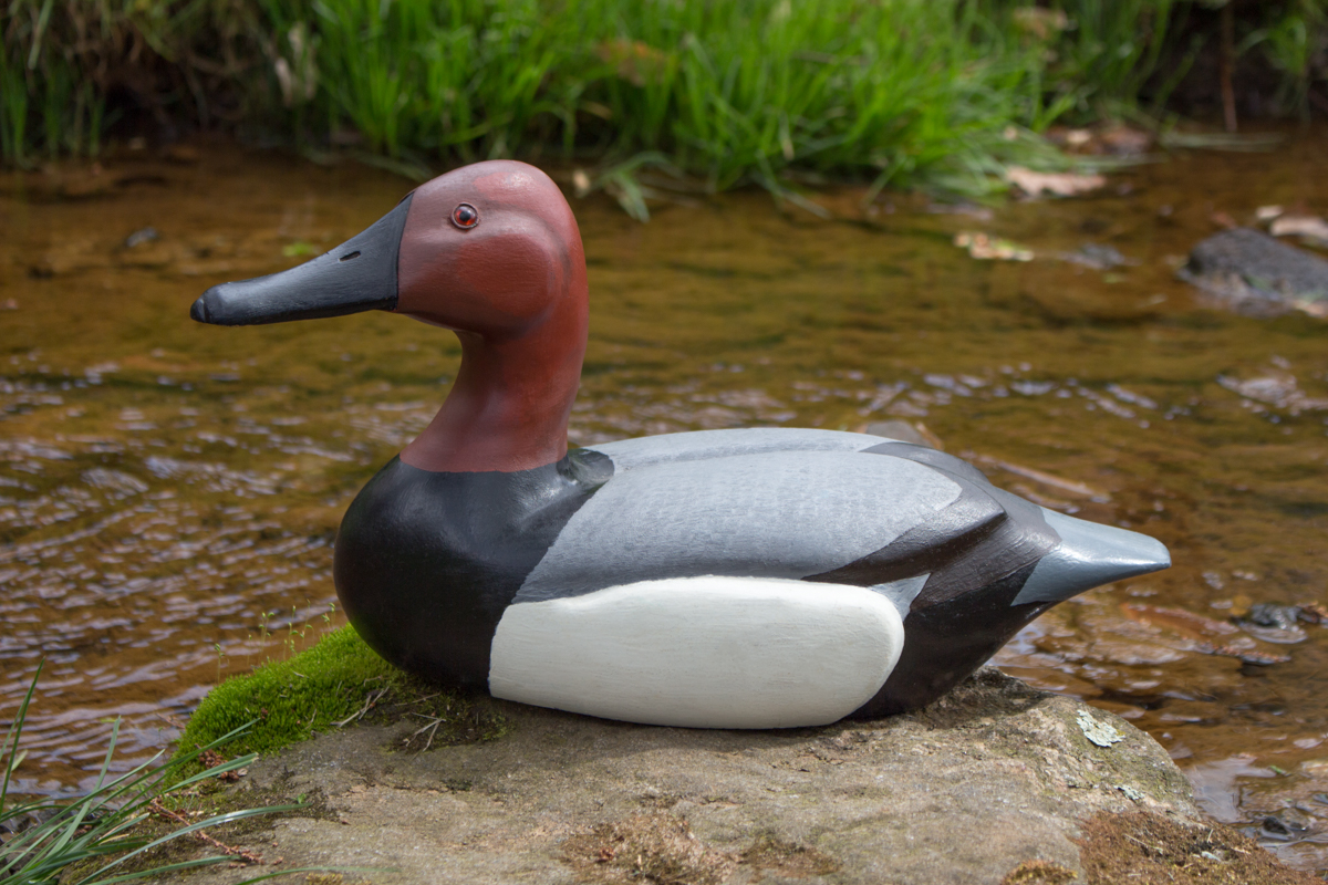 Duck Decoy Pattern