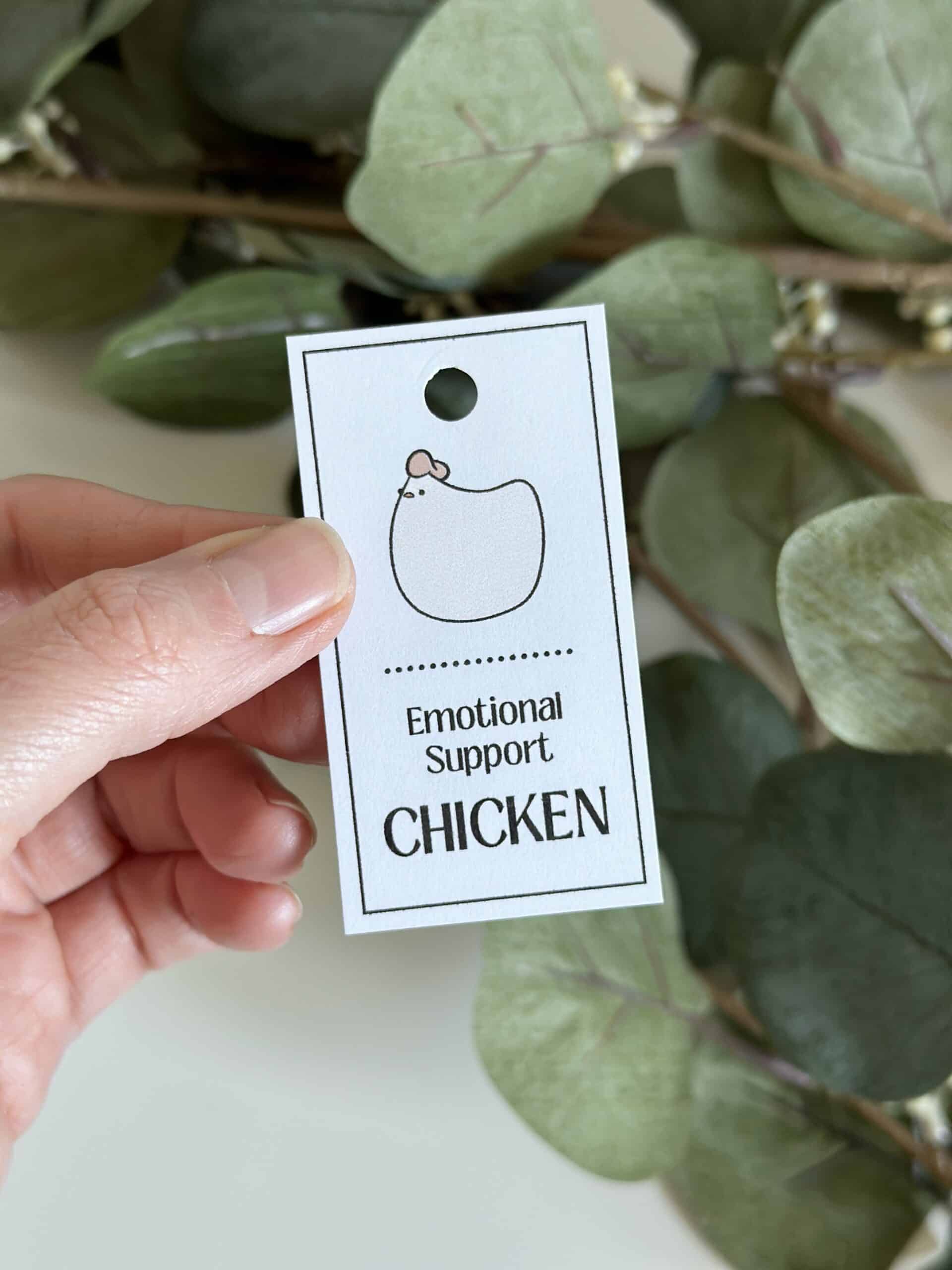 Emotional Support Mabel Chicken Kit Printable Pdf English And French Emotional Support Mabel Chicken Kit Printable Pdf English And French