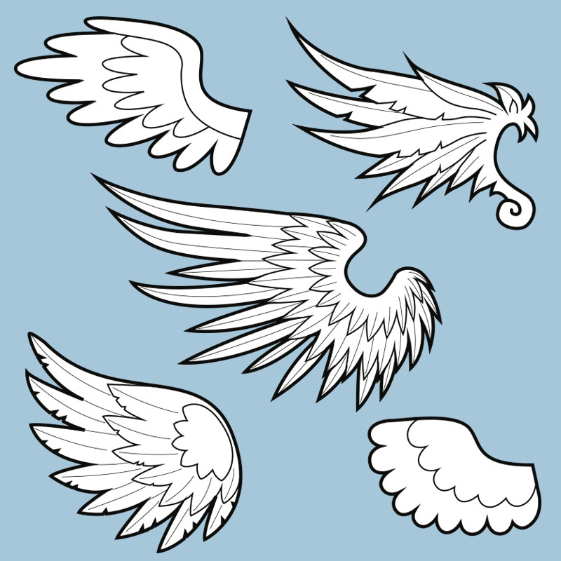 Feathered Wings Template Collection 5 Wing Shapes