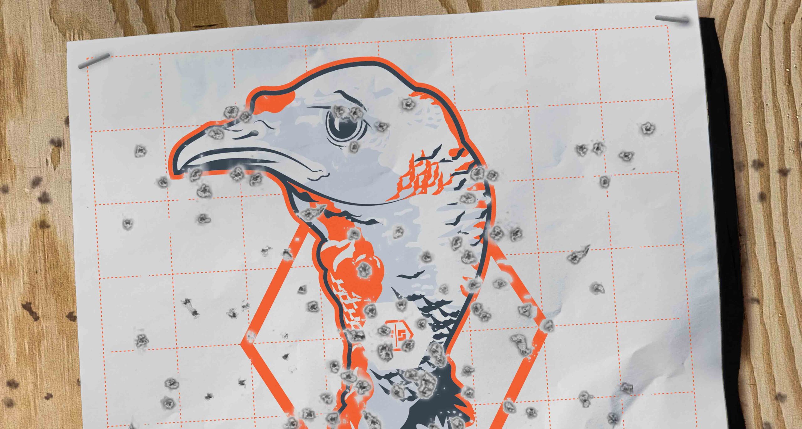 Free Download Turkey Target