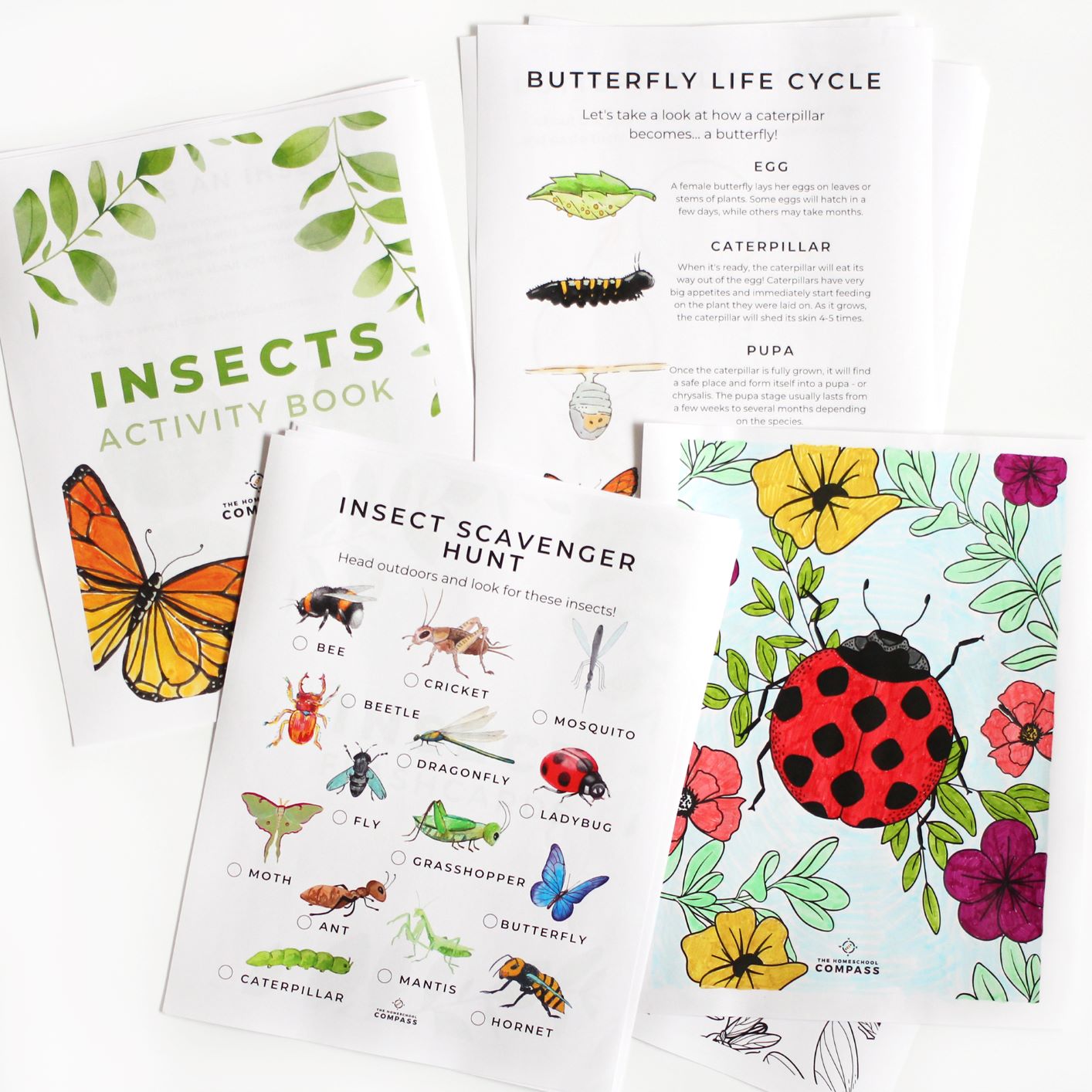 Free Insect Nature Study Printable Pack Free Insect Nature Study Printable Pack