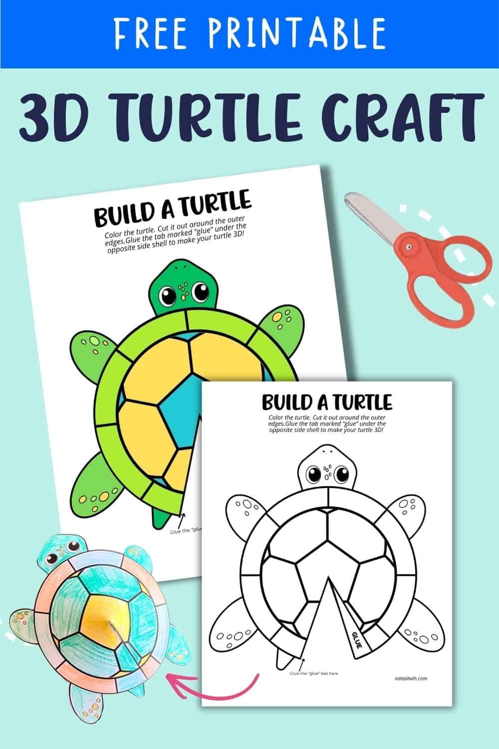 Free Printable Build A Turtle Craft