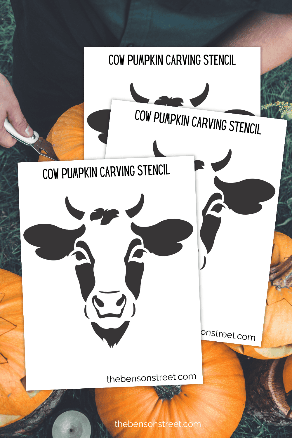 Free Printable Cow Pumpkin Stencil Template