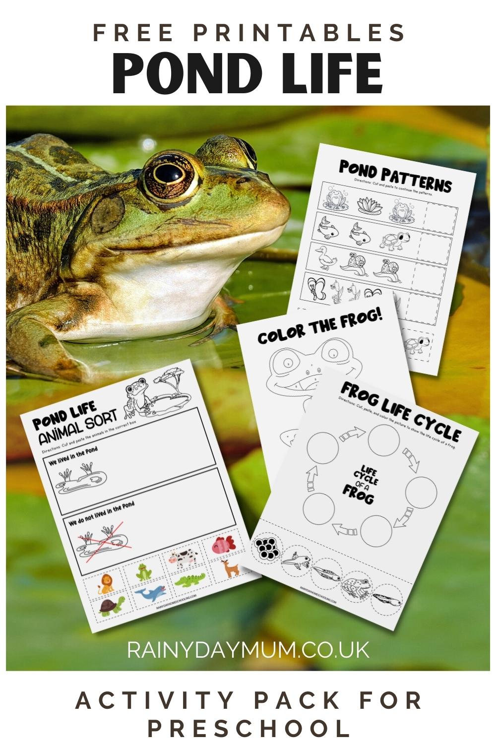 Free Printable Pond Life Activity Set