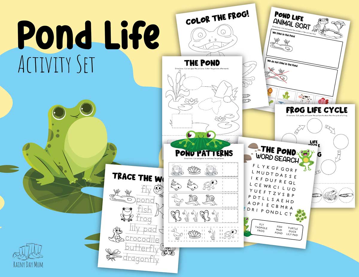 Free Printable Pond Life Activity Set