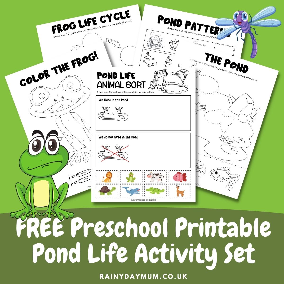 Free Printable Pond Life Activity Set
