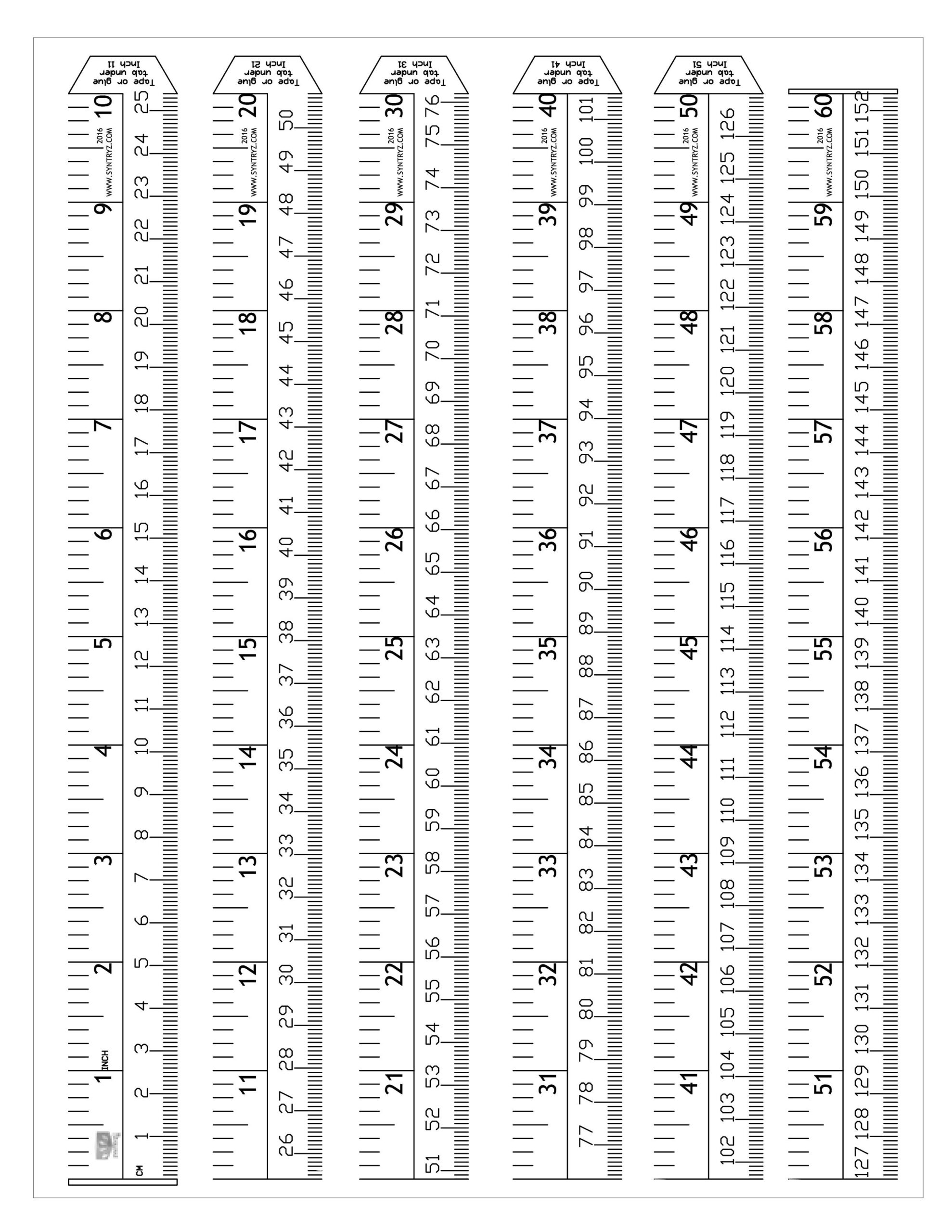 free printable 12 inch ruler