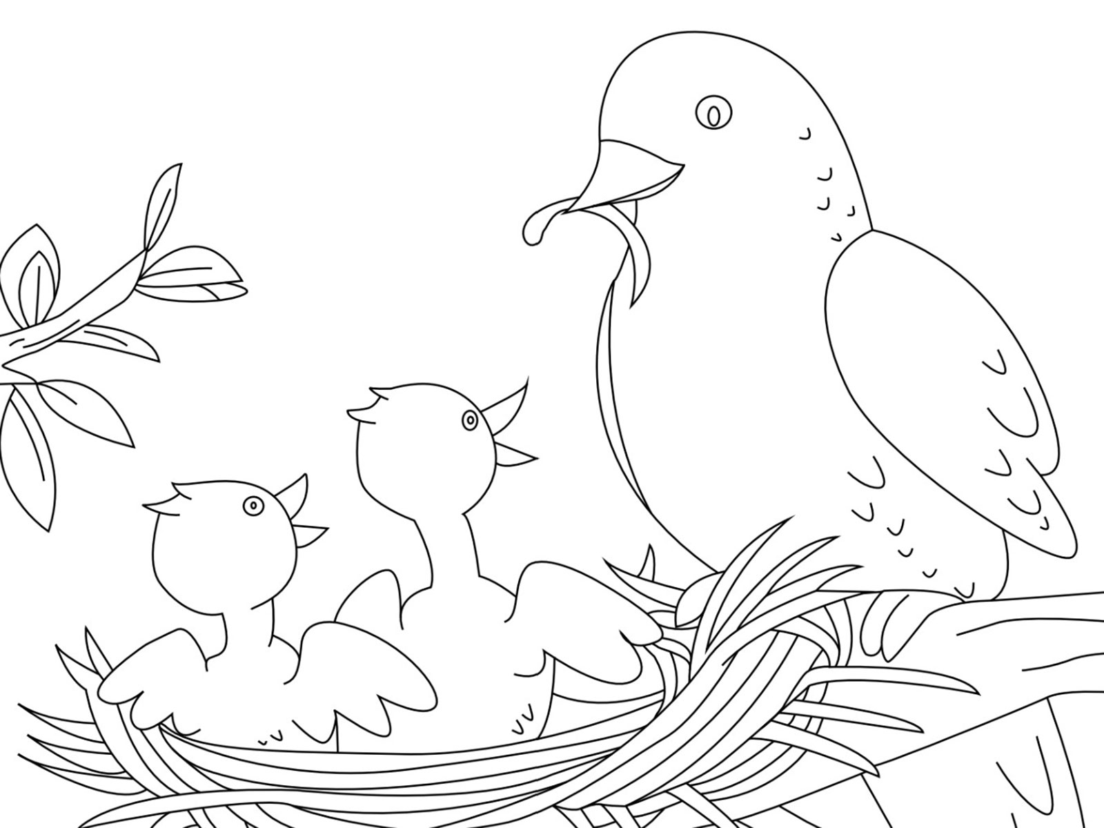 Free Spring Coloring Pages