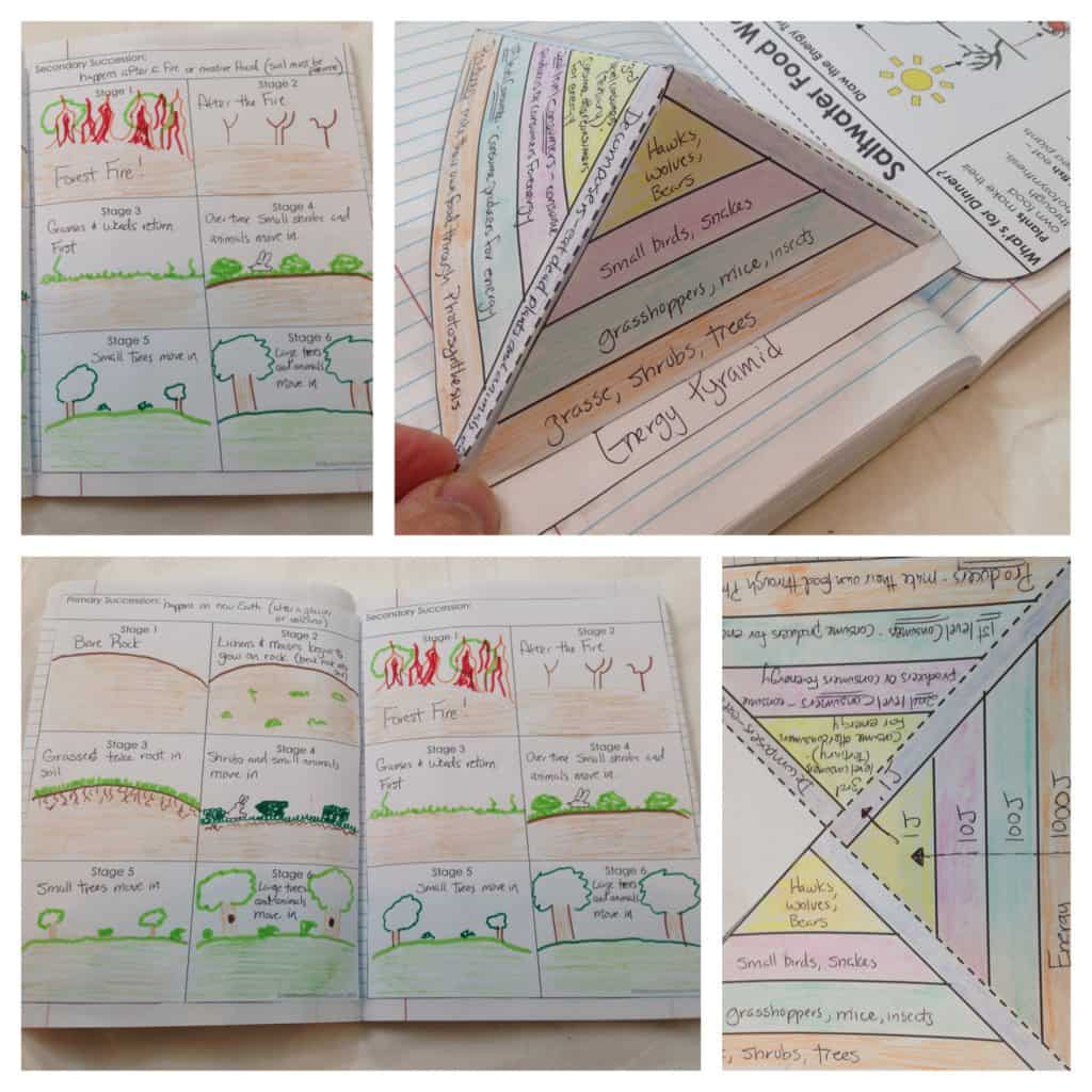 Guide To Using Interactive Notebooks In The Science Classroom Guide To Using Interactive Notebooks In The Science Classroom