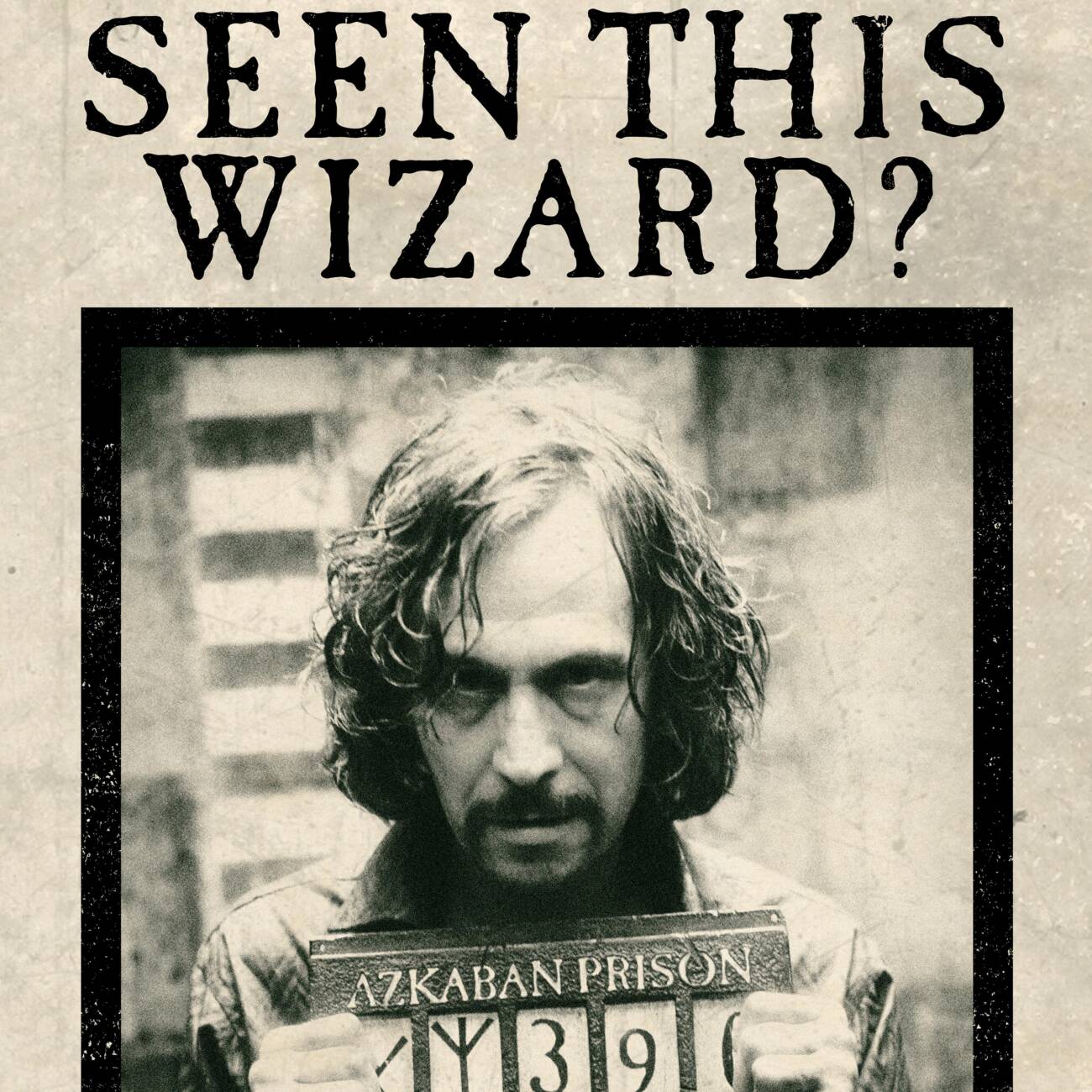 Have You Seen This Wizard Poster