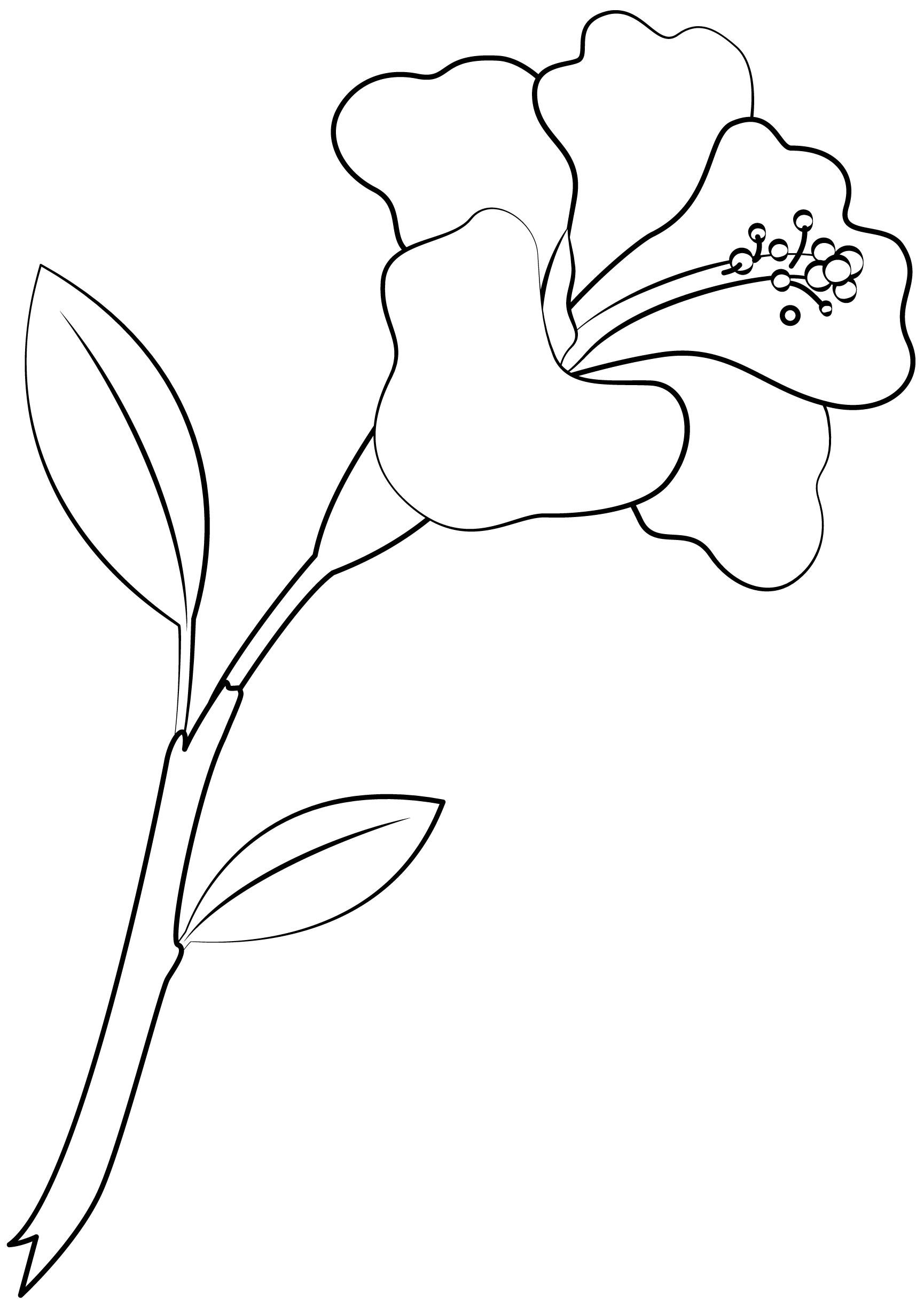 free printable hibiscus flower stencils