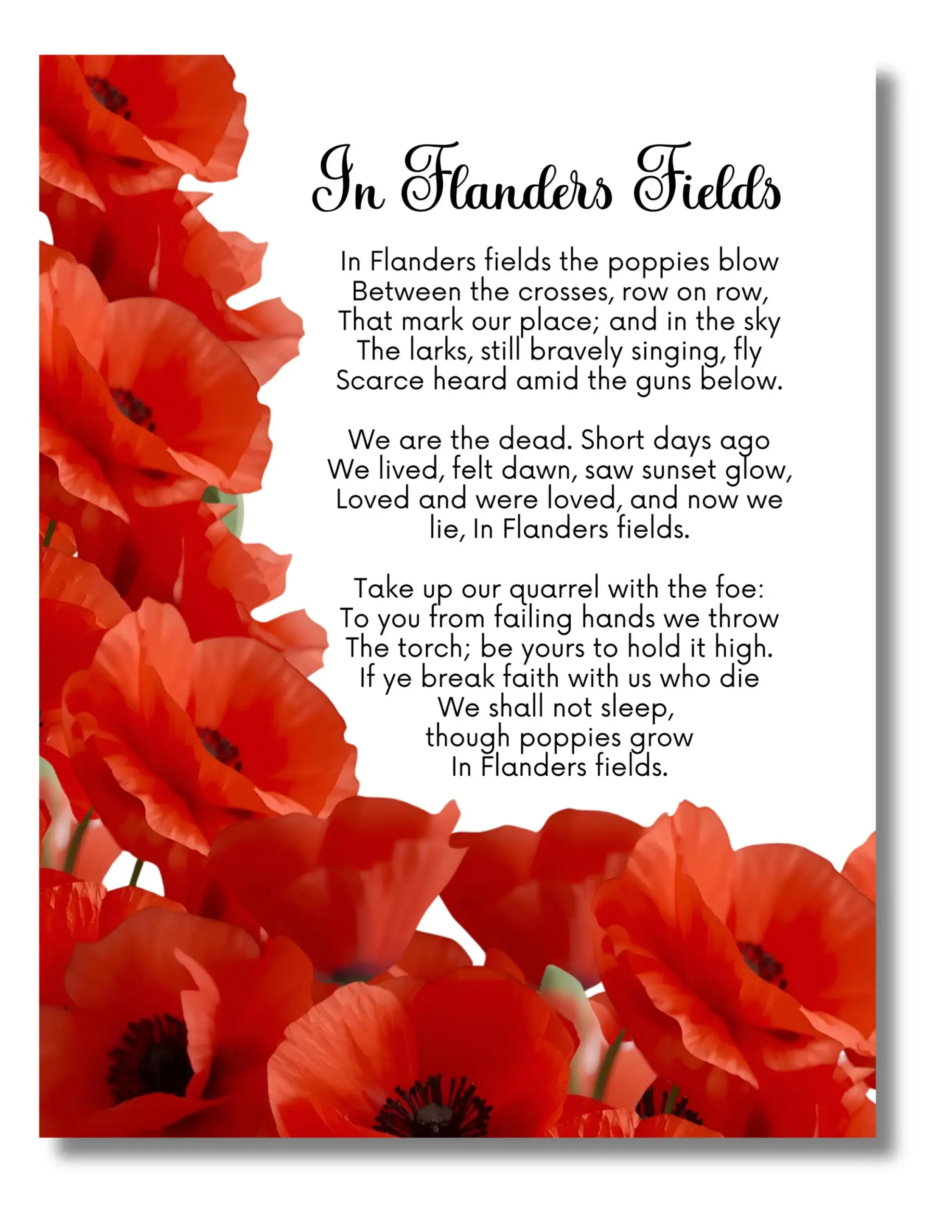 free printable in flanders field poem