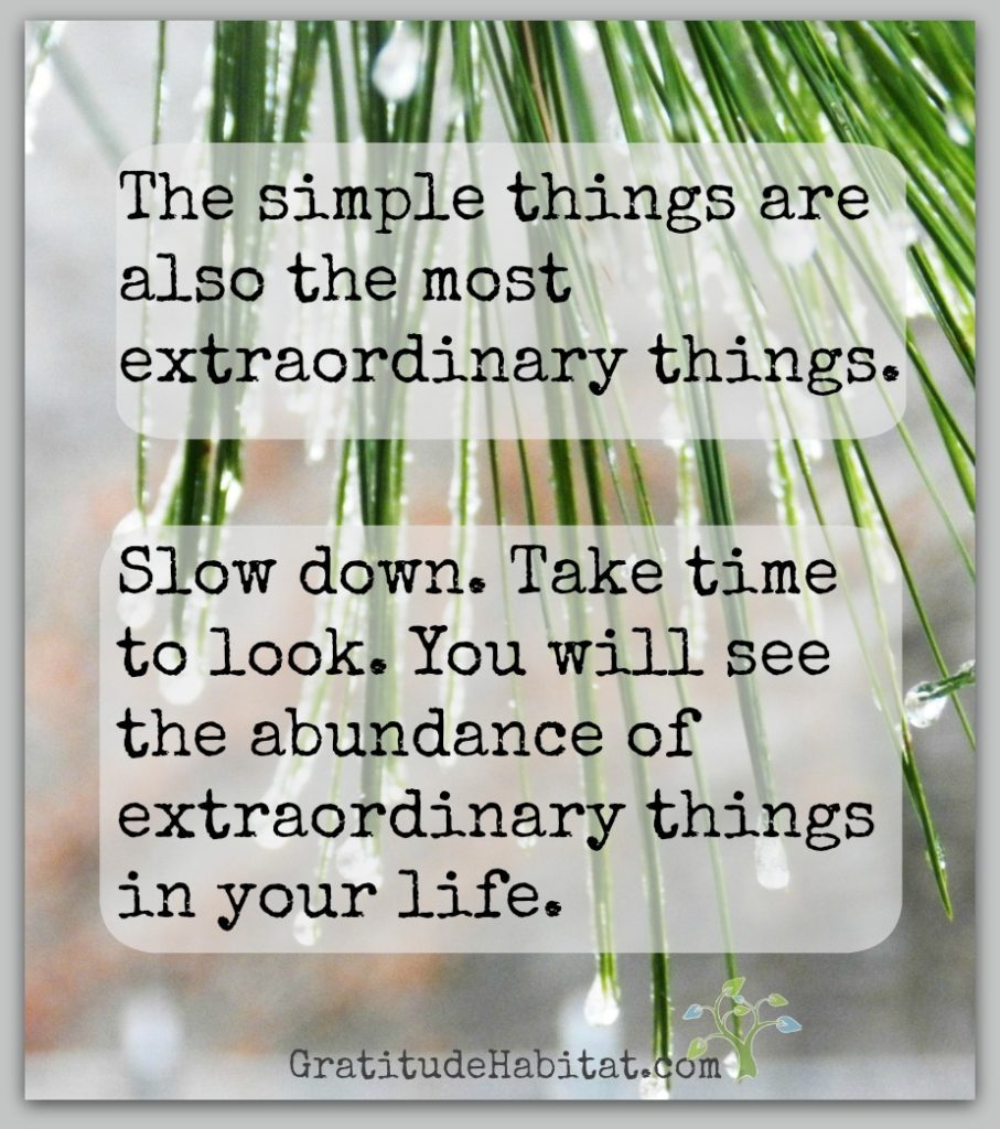 Living In Gratitude Just For Now