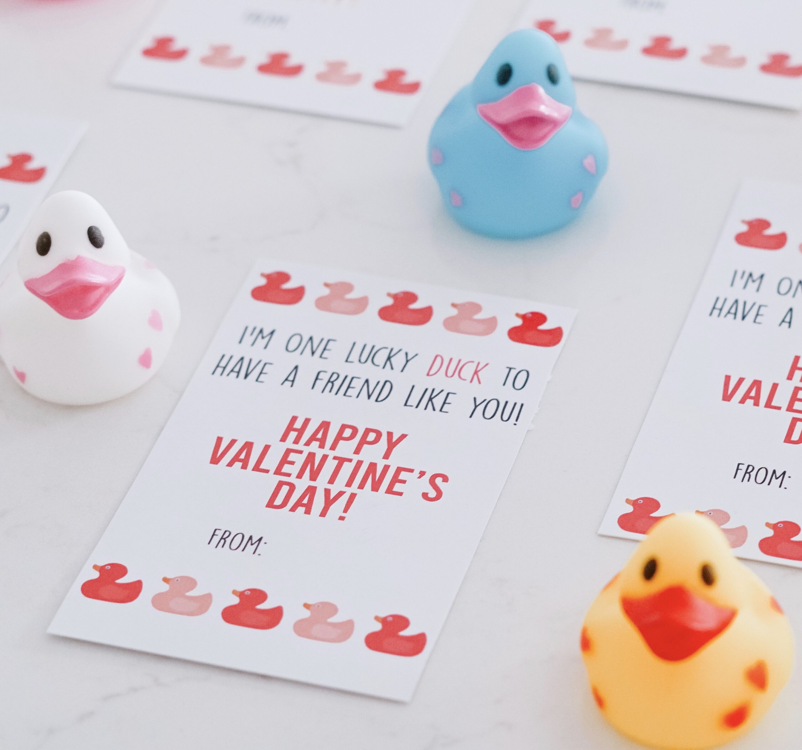Lucky Duck Valentines Day Cards
