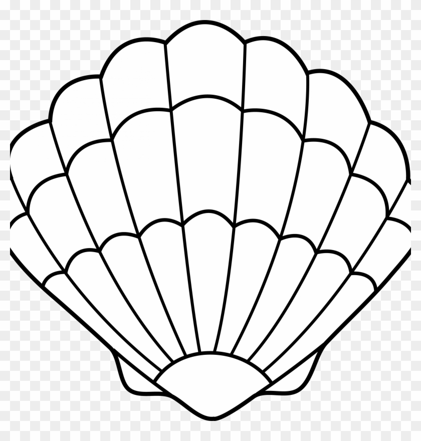 M2K9A0d3A0Z5N4H7 Seashell Clipart Seashell Lineart Free Clip Art Clip Seashell Template Free Printable
