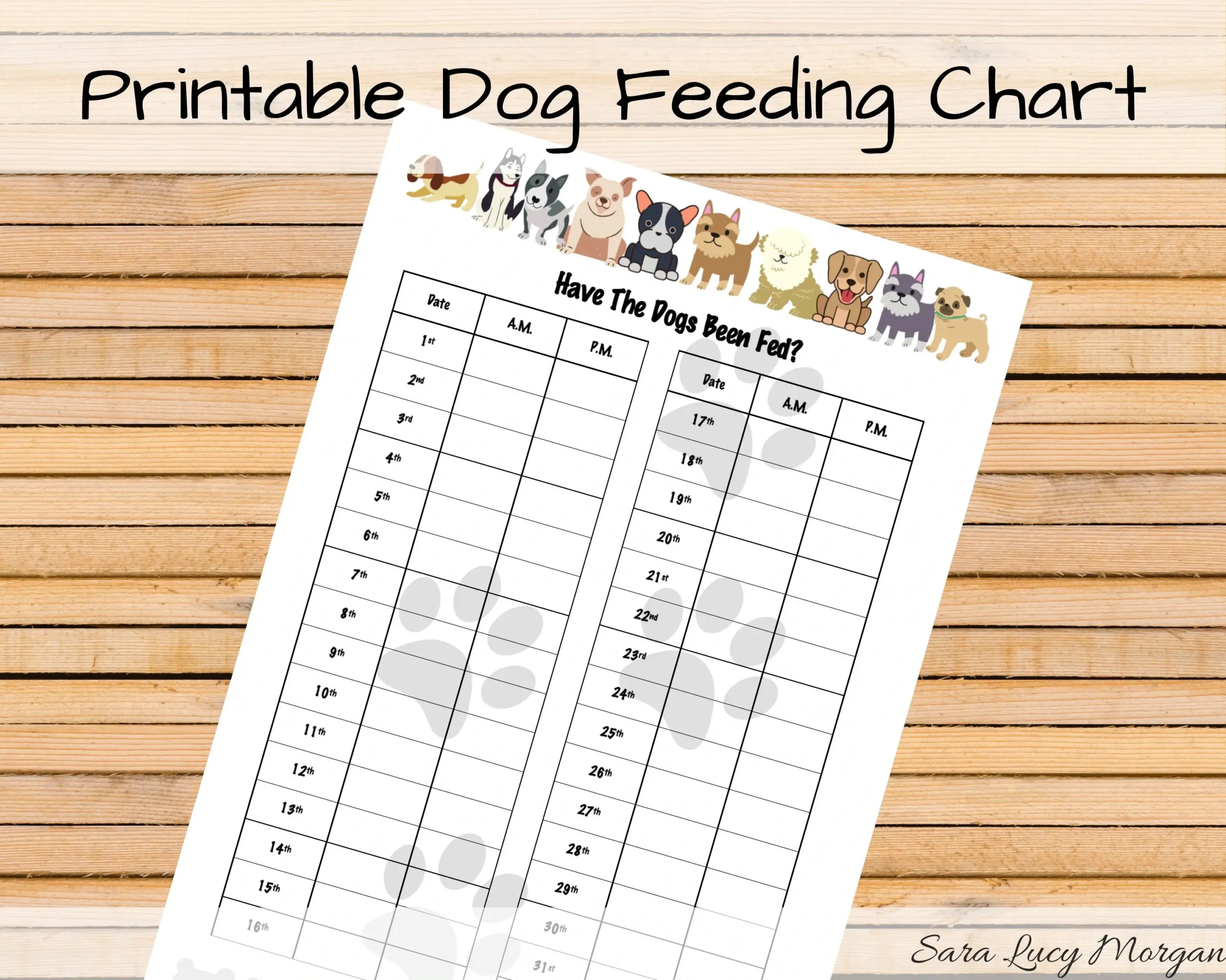 Monthly Printable Dog Feeding Chart Dog