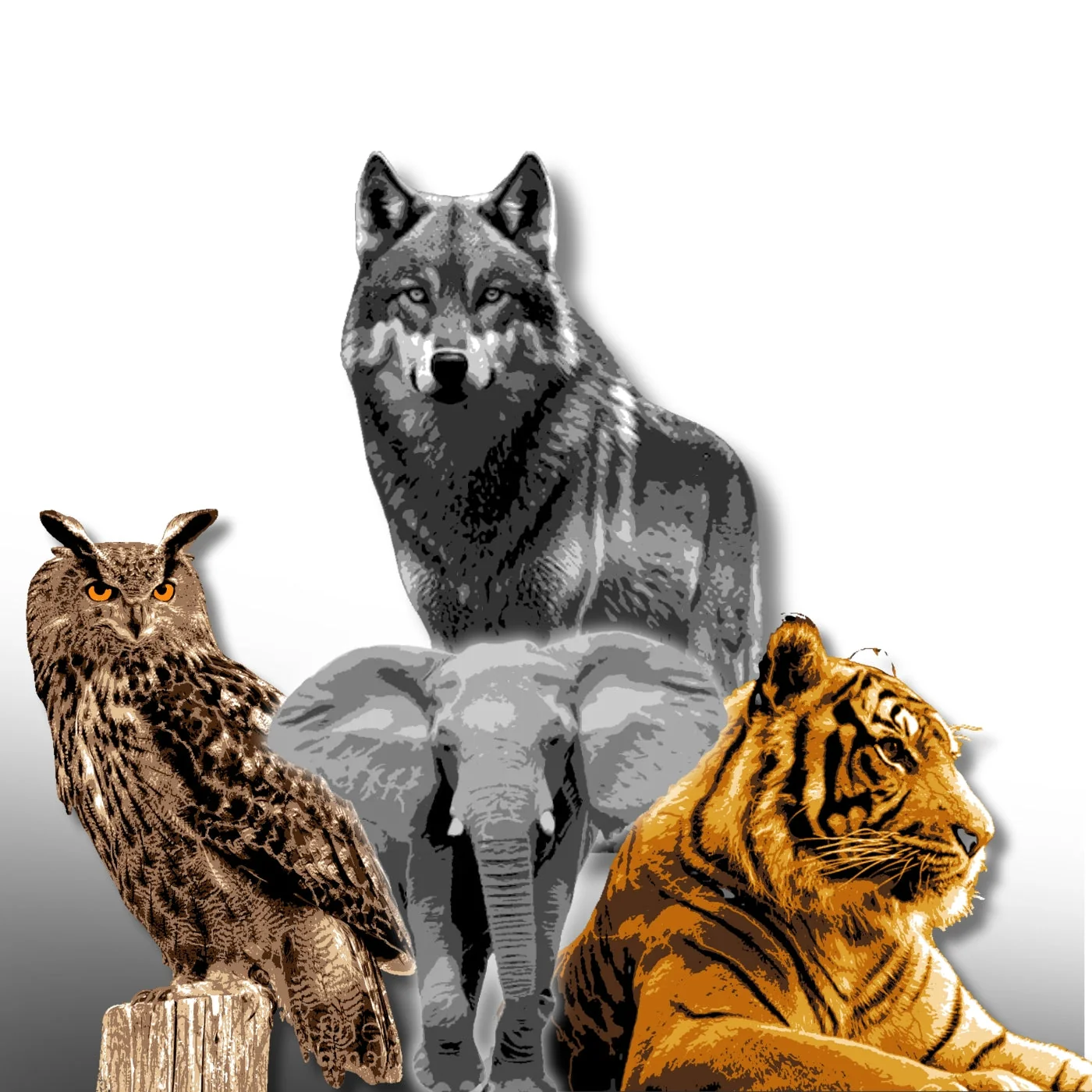 Multi Layers Stencils Pre Cut Digital Download